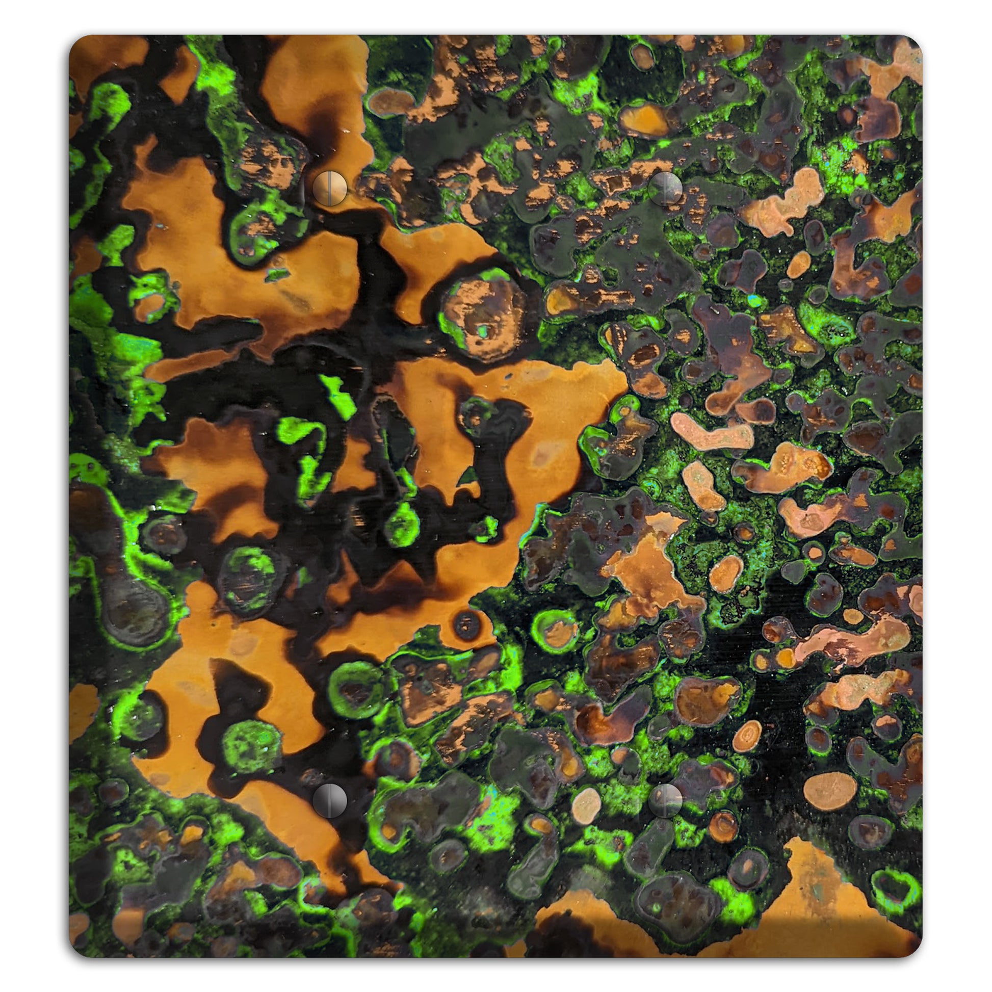 Copper Verdigris Double Blank Cover Plate