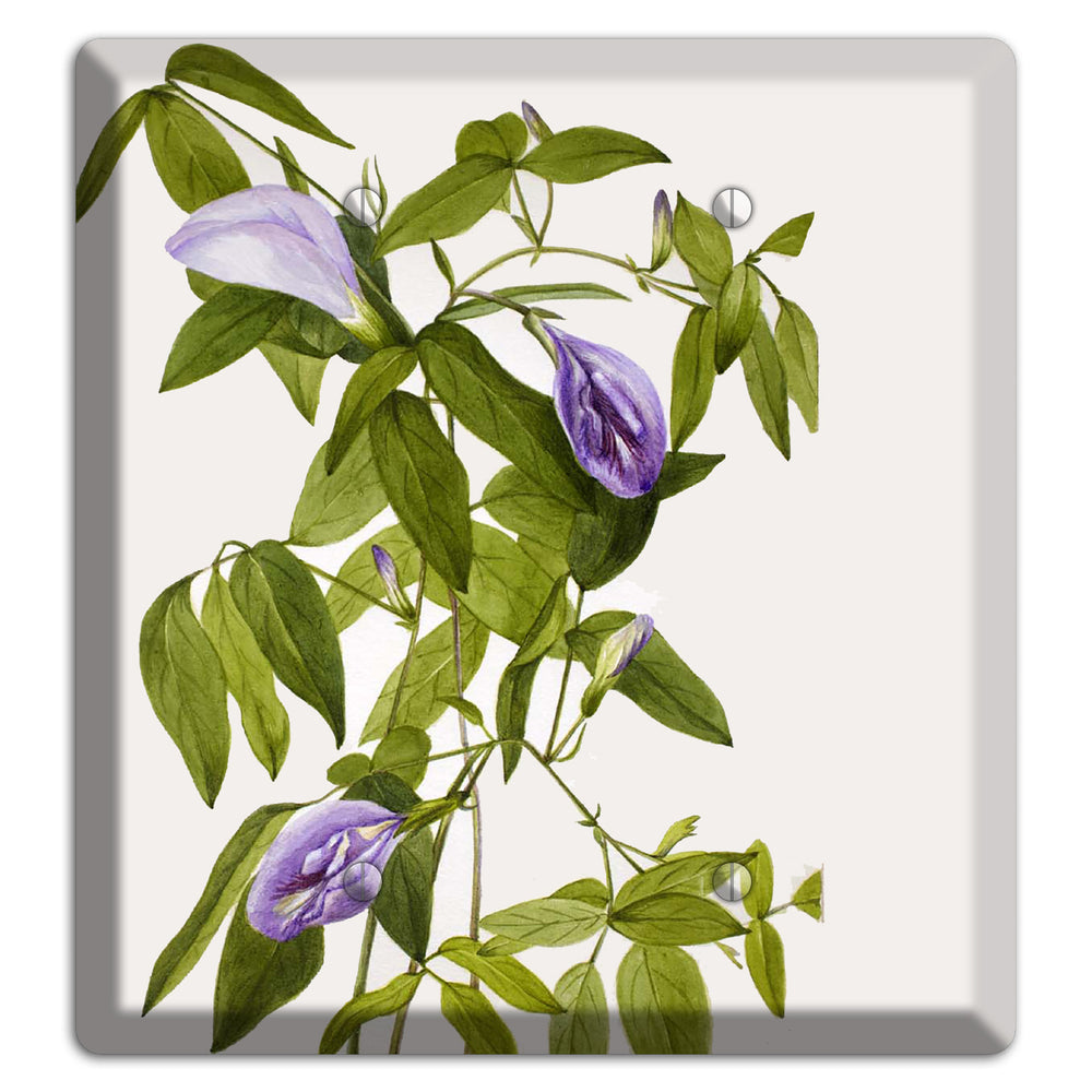 Clitoria Mariana 2 Blank Wallplate