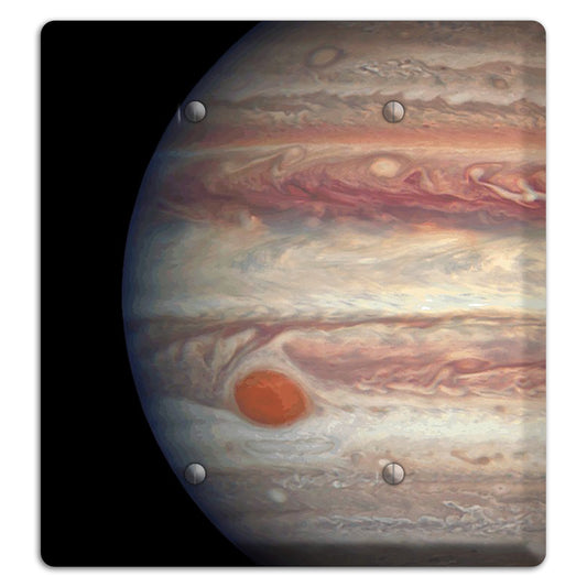 Jupiter's 2 Blank Wallplate