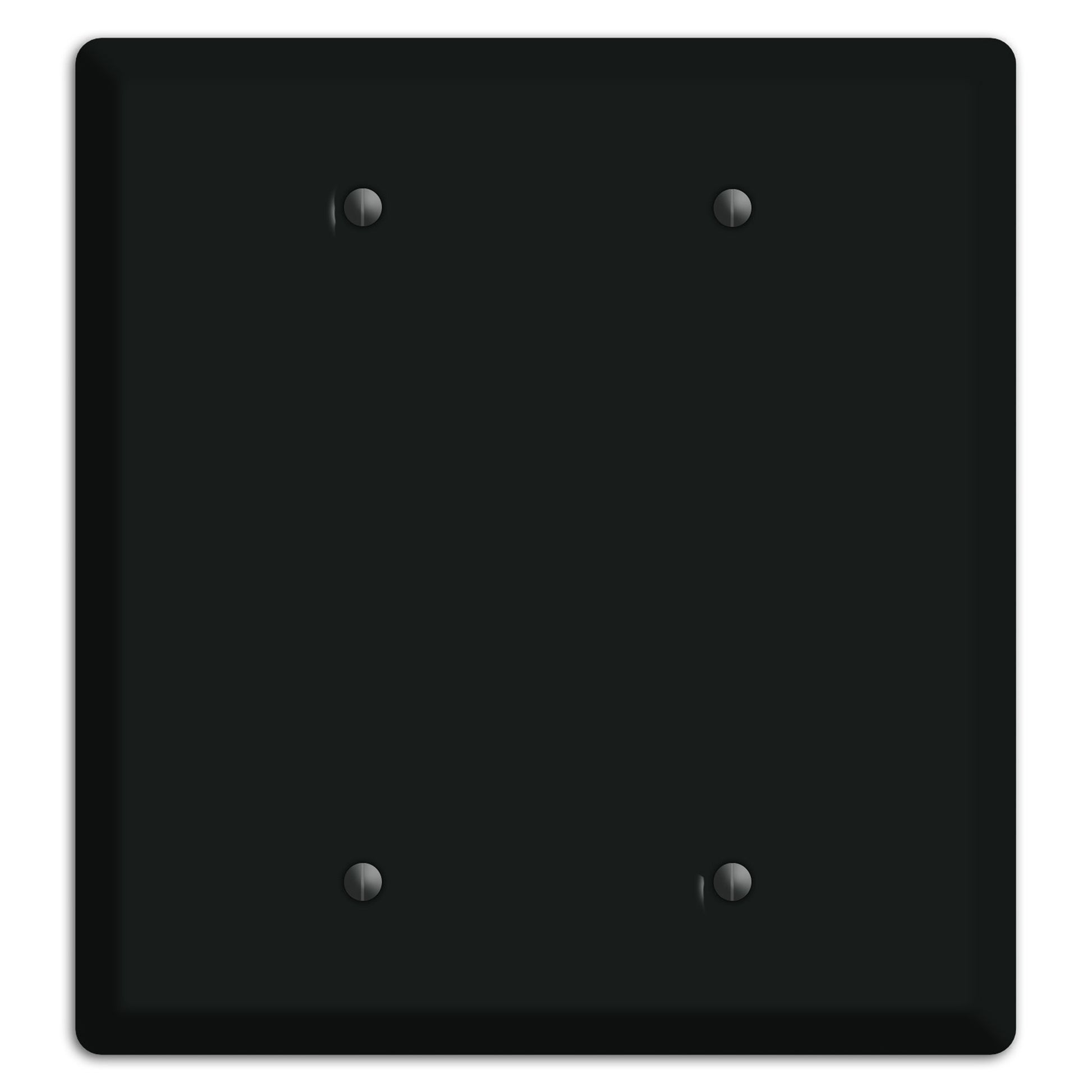 Matte Black Metal 2 Blank Wallplate