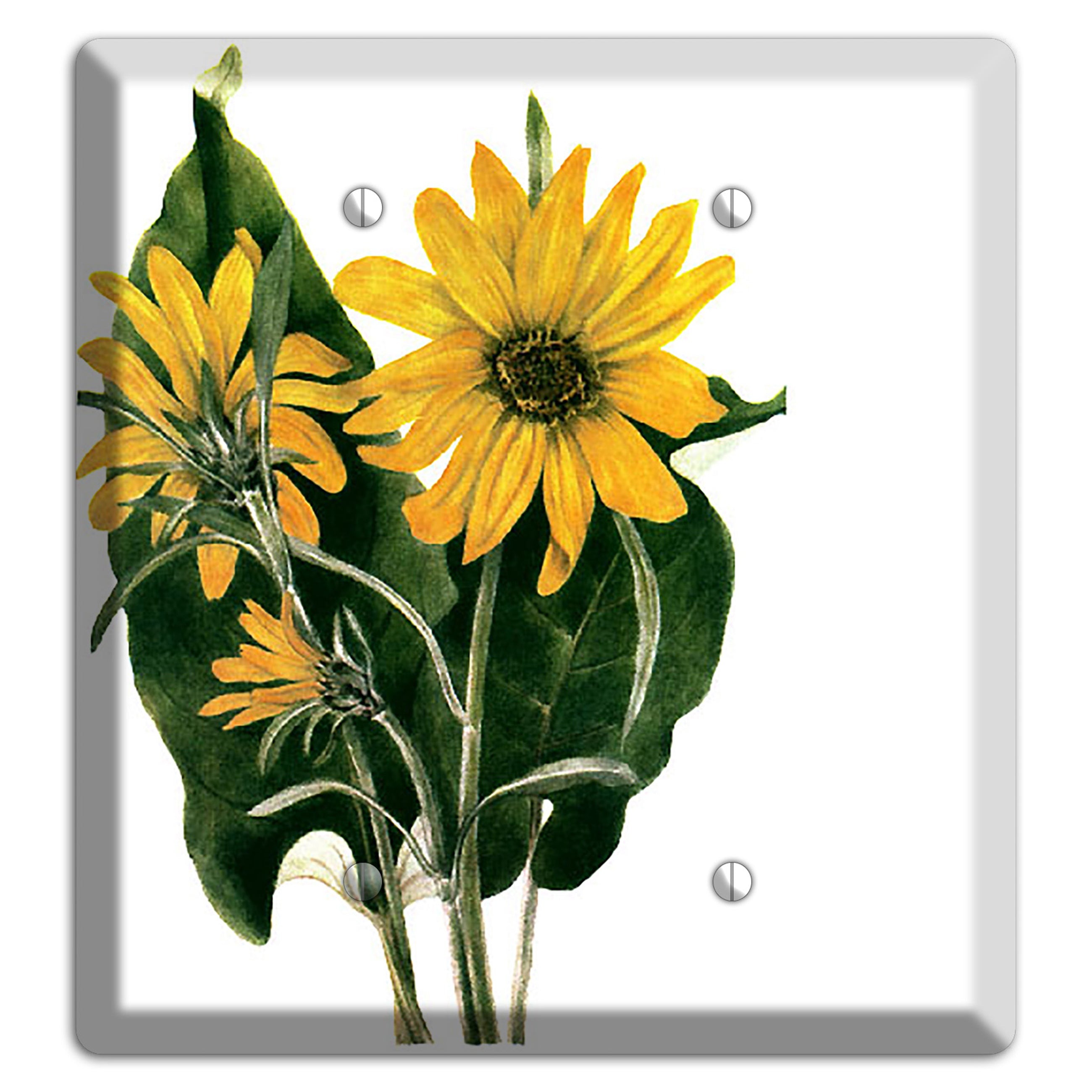 Balsamorhiza Sagittata 2 Blank Wallplate
