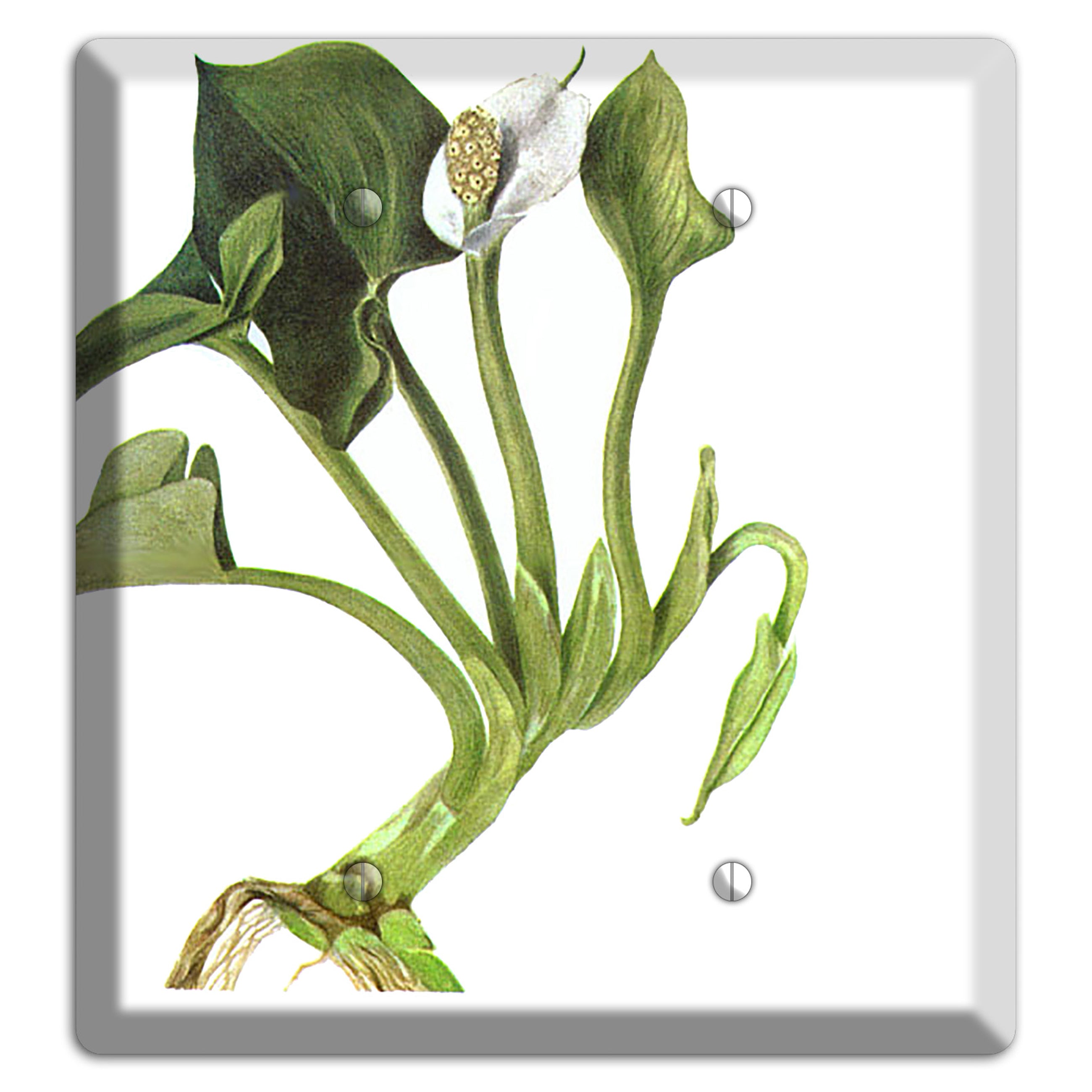 Calla Palustrie 2 Blank Wallplate