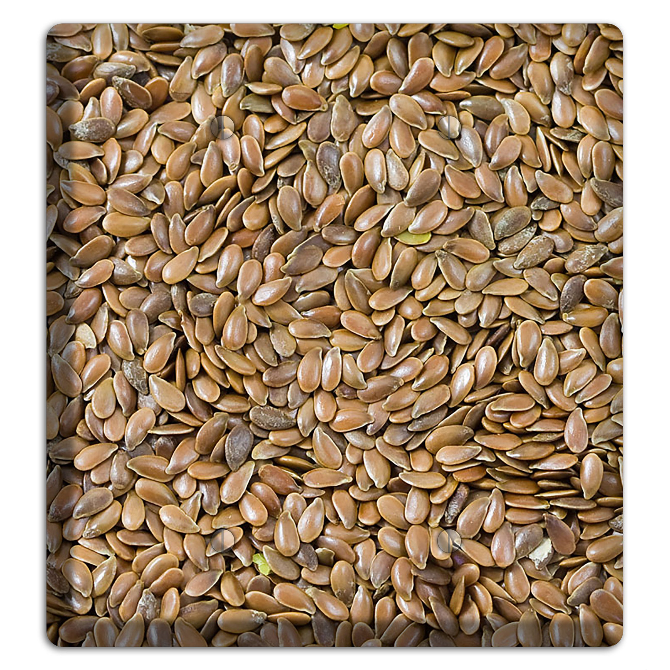 Flax 2 Blank Wallplate