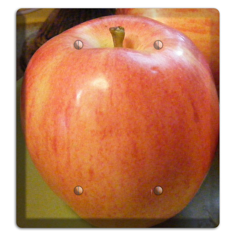 Large Apple 2 Blank Wallplate