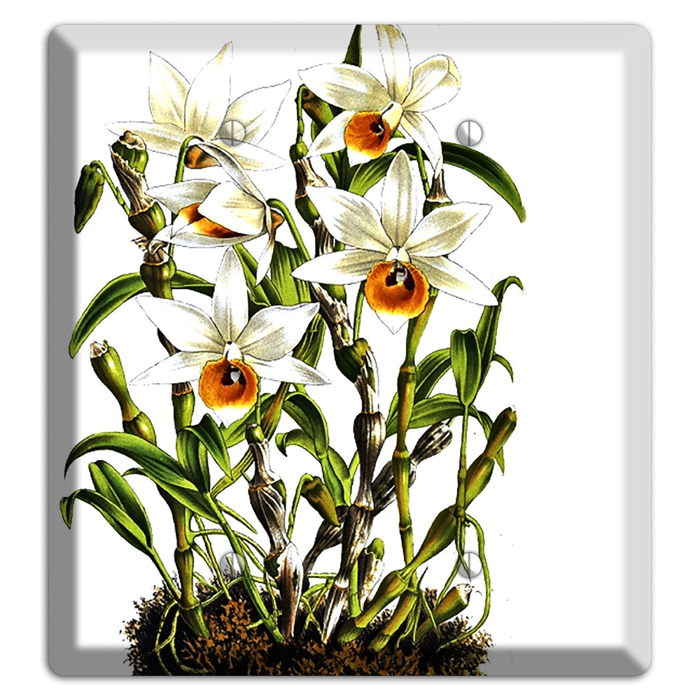 Dendrobium 2 Blank Wallplate