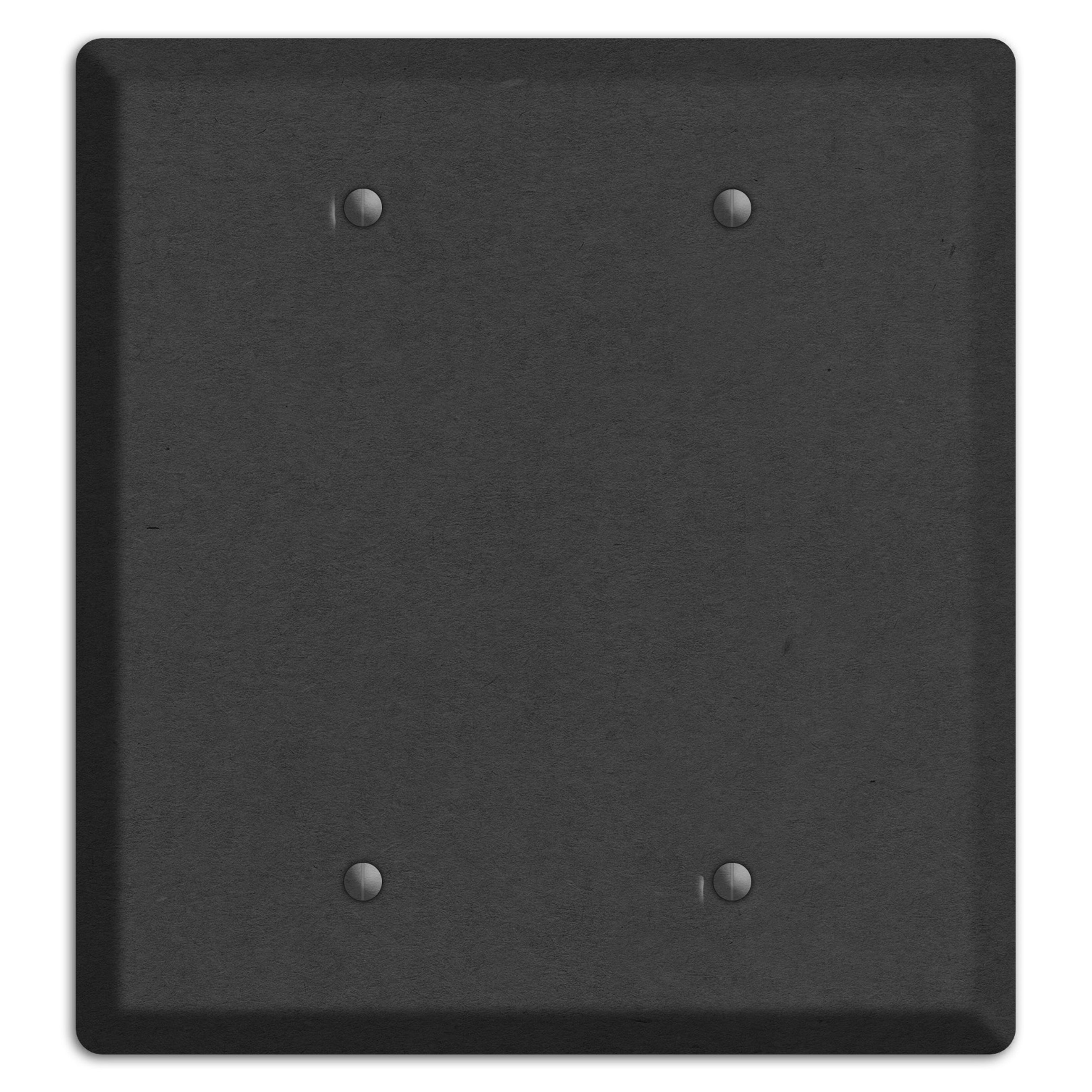 Charcoal Kraft 2 Blank Wallplate