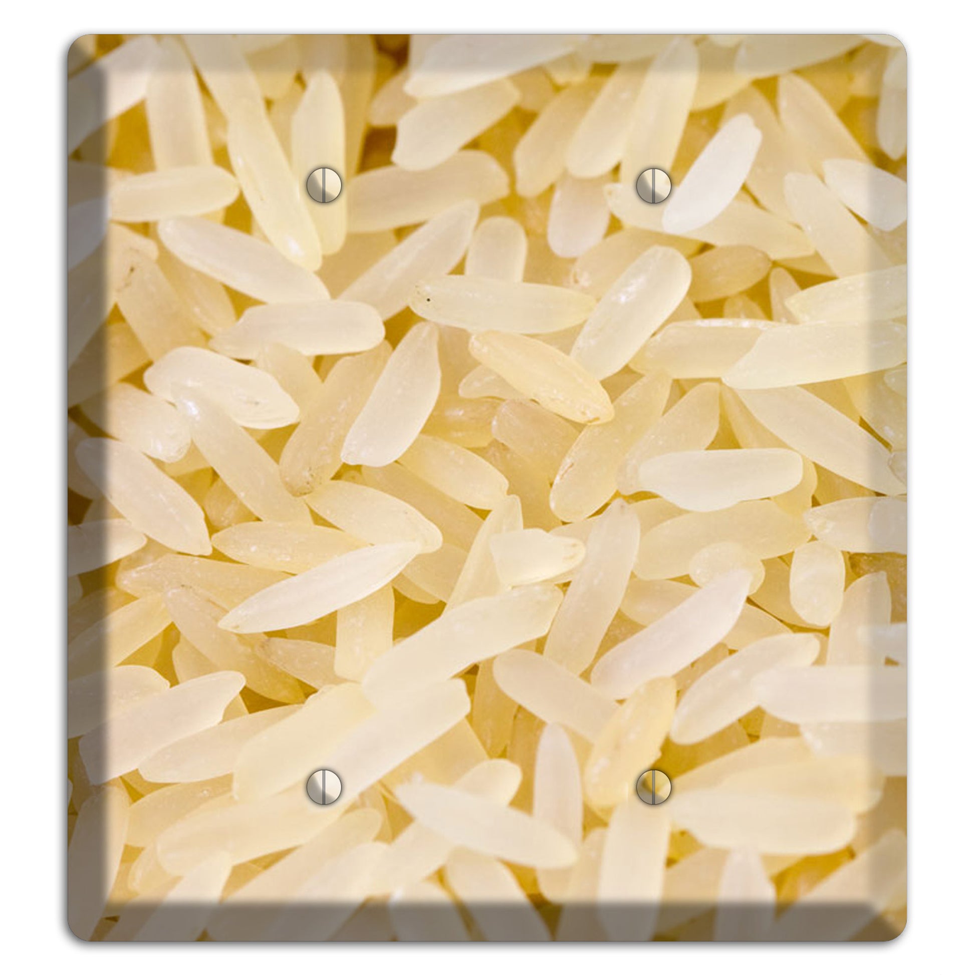 Rice 2 Blank Wallplate
