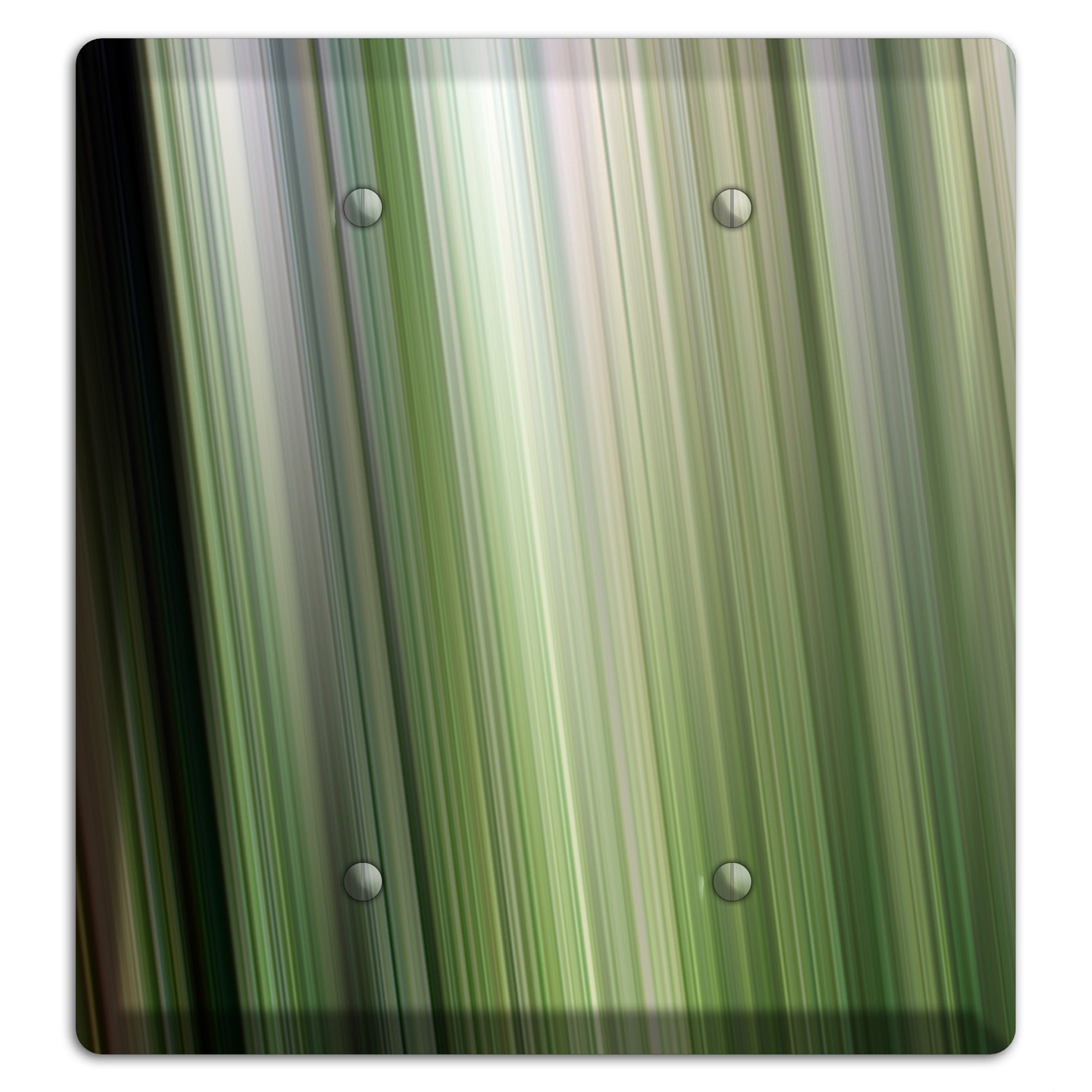 Green Ray of Light 2 2 Blank Wallplate
