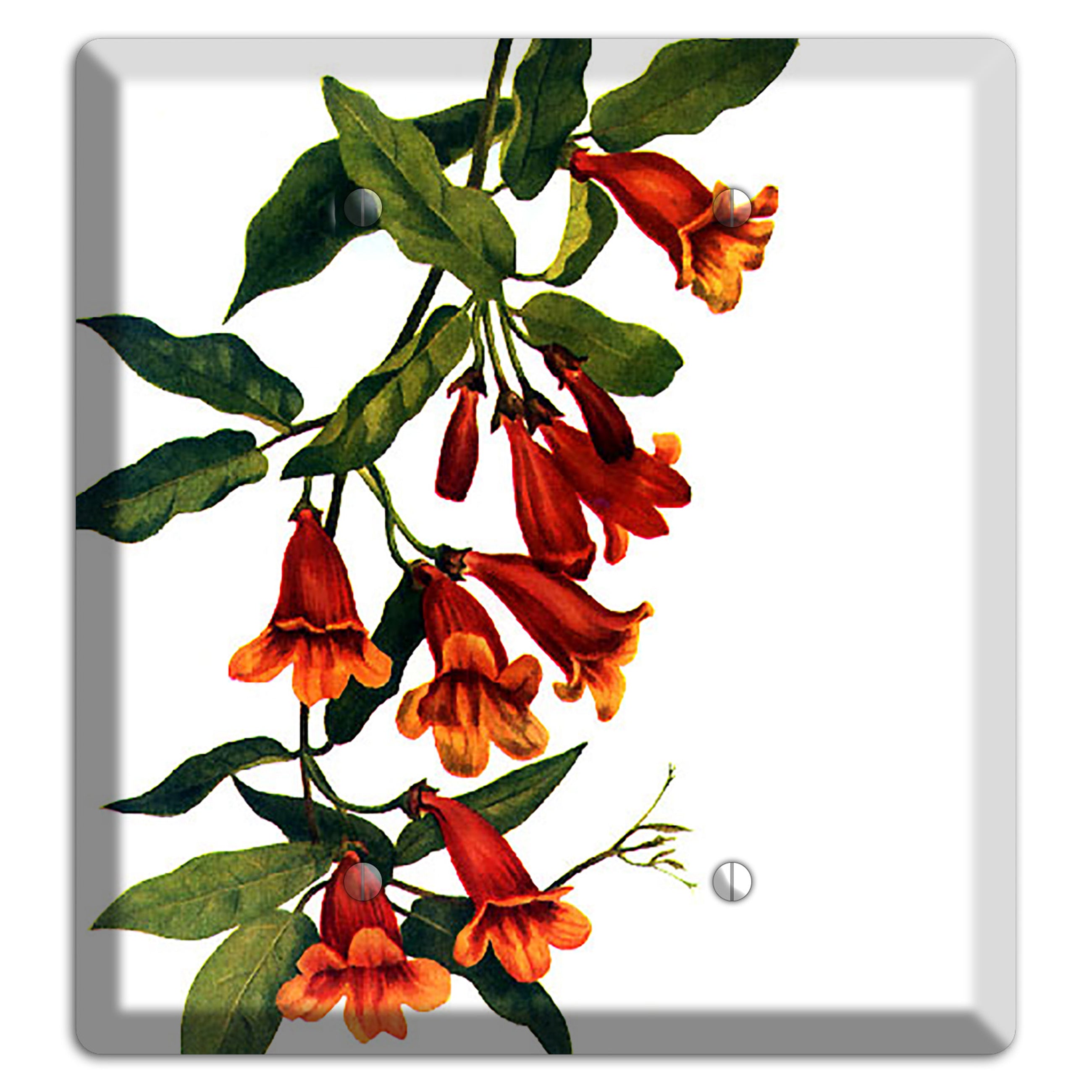 Bigonia Capreolata 2 Blank Wallplate
