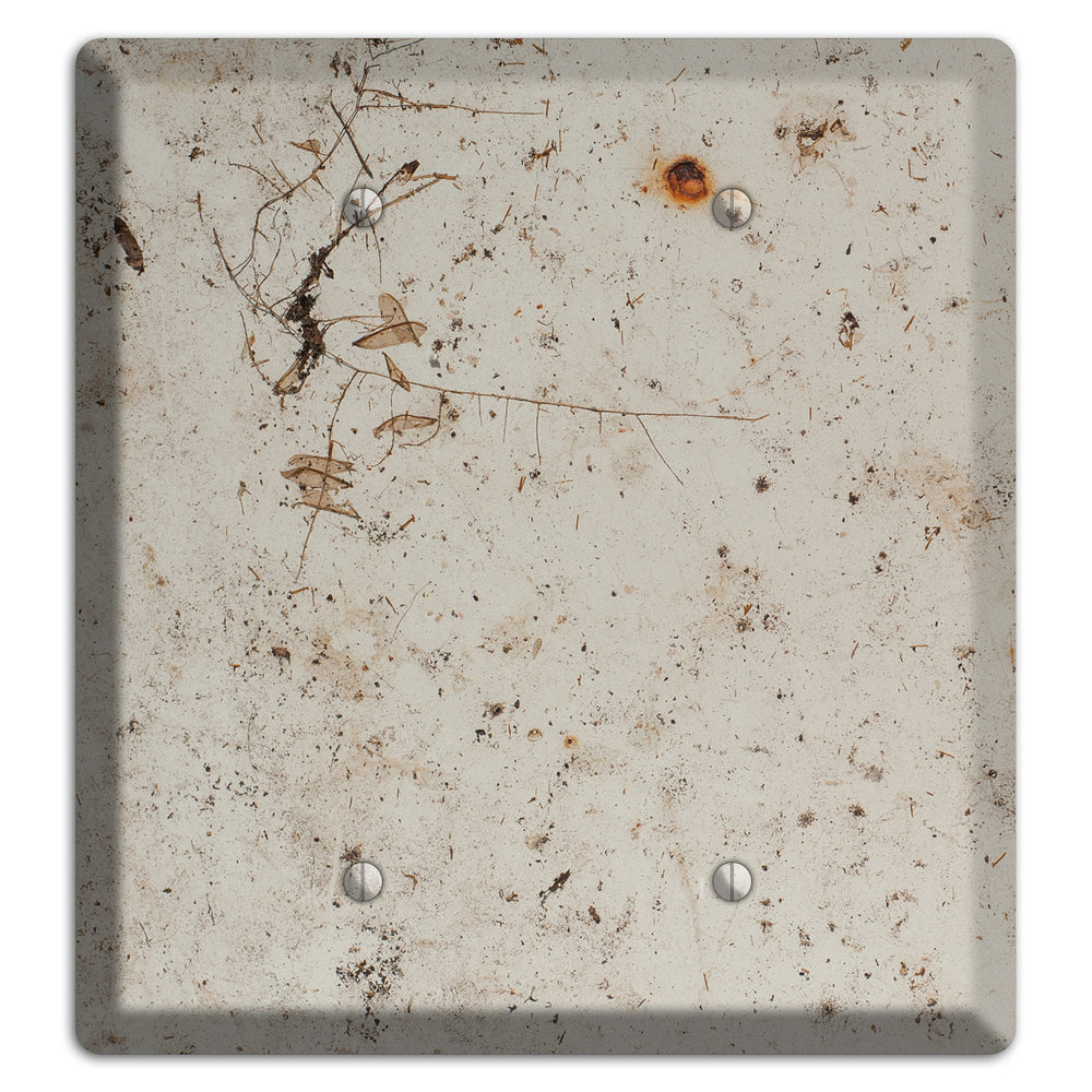 Spotted Concrete 2 Blank Wallplate