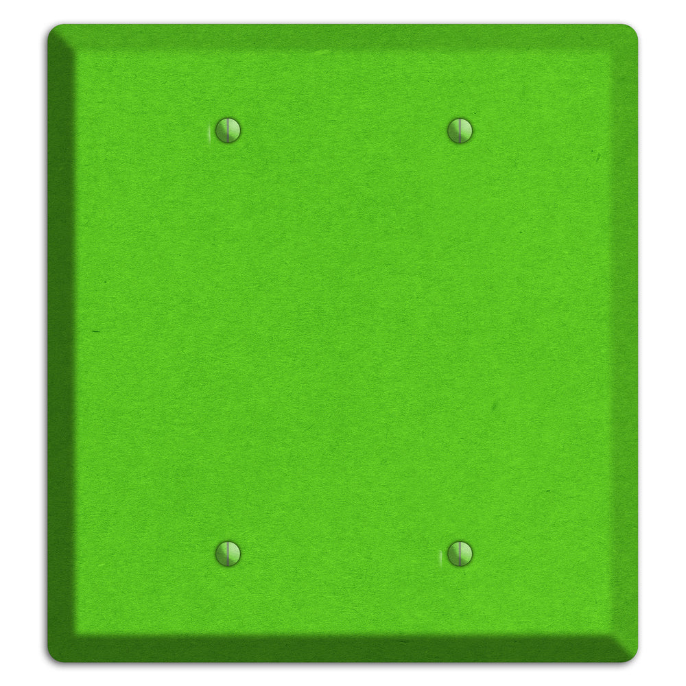 Kelly Green Kraft 2 Blank Wallplate