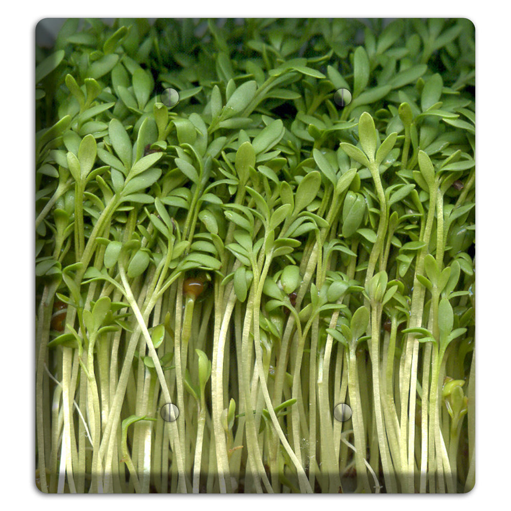 Sprouts 2 Blank Wallplate