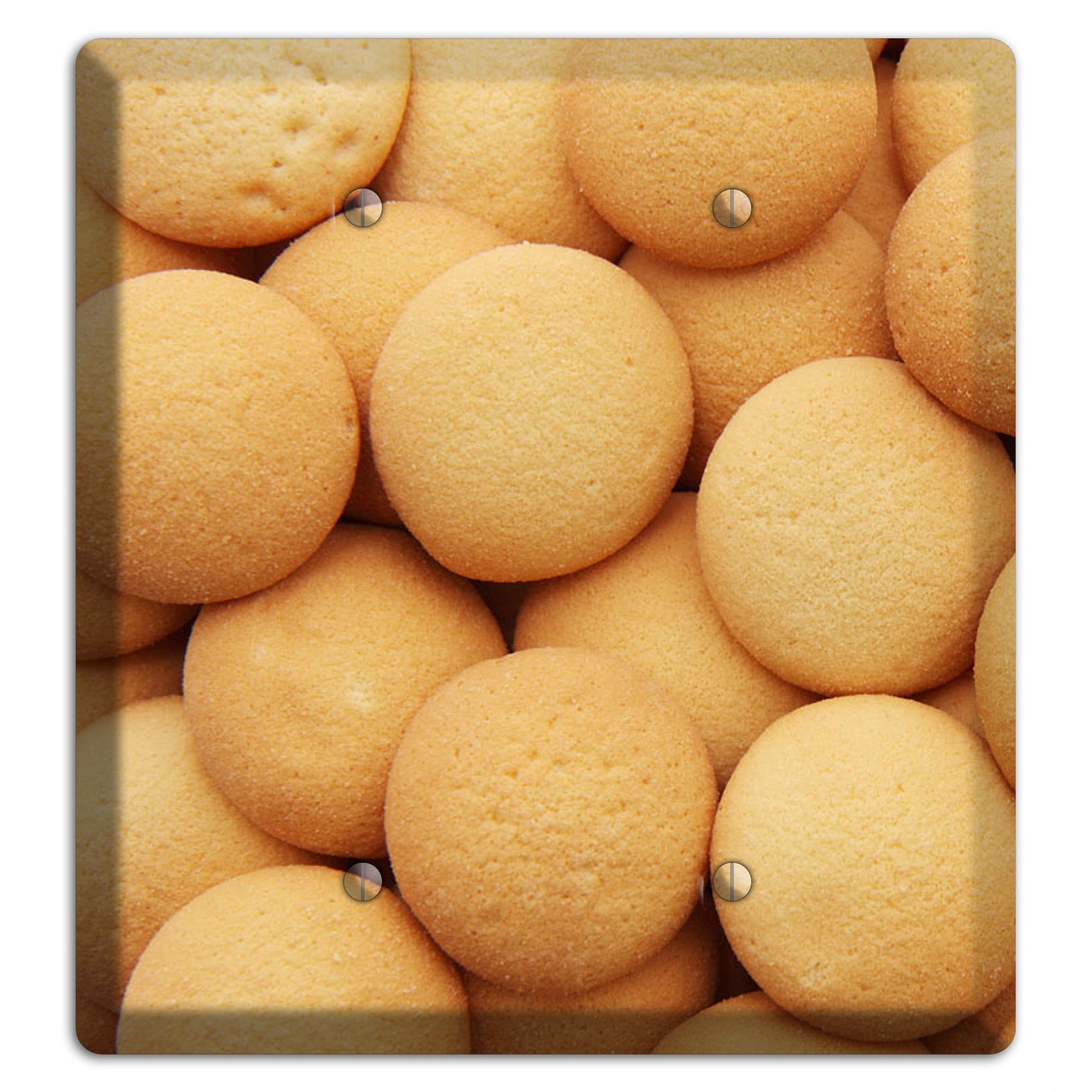 Wafers 2 Blank Wallplate