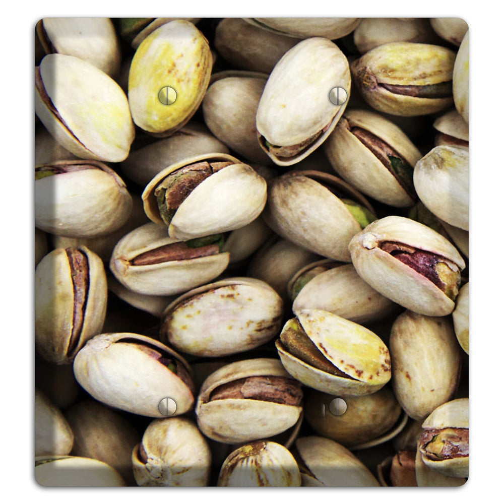 Pistachio 2 Blank Wallplate