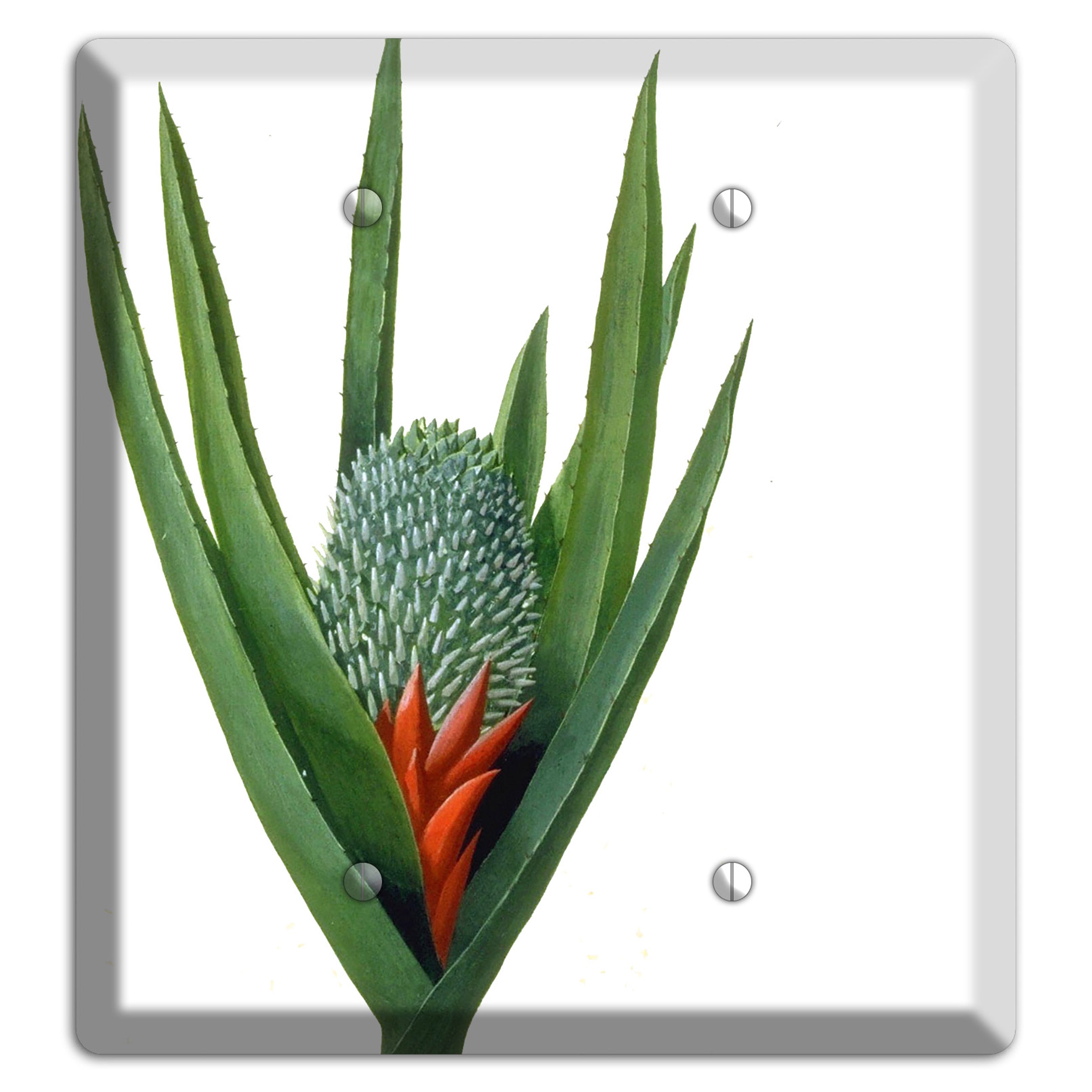Bromiliad 2 Blank Wallplate