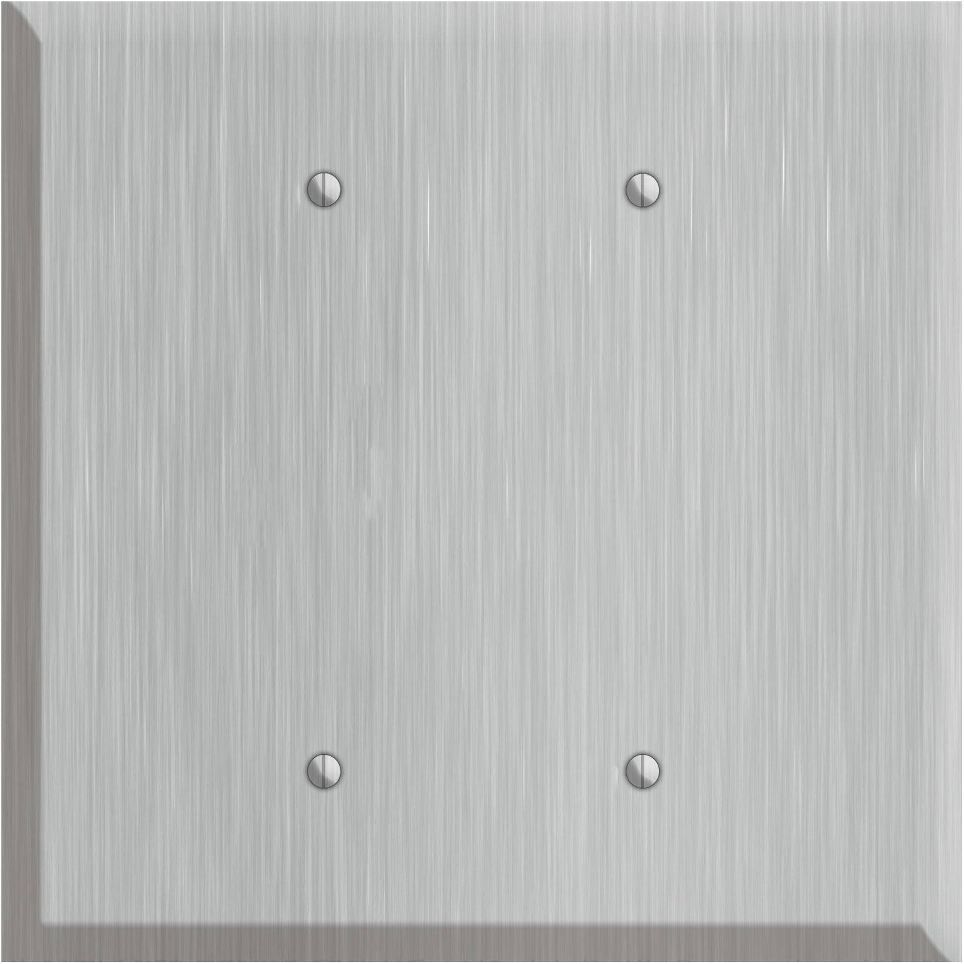 Oversized Discontinued Stainless Steel 2 Blank Wallplate