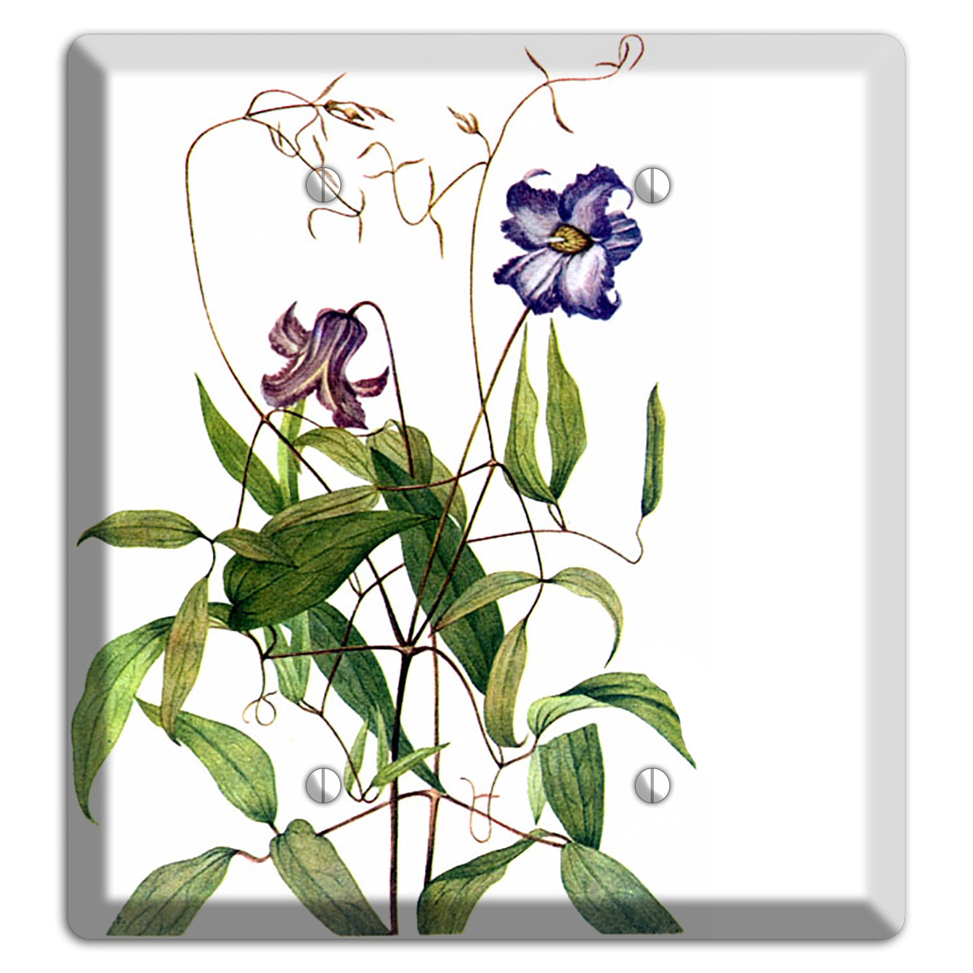 Clematis Crispa 2 Blank Wallplate