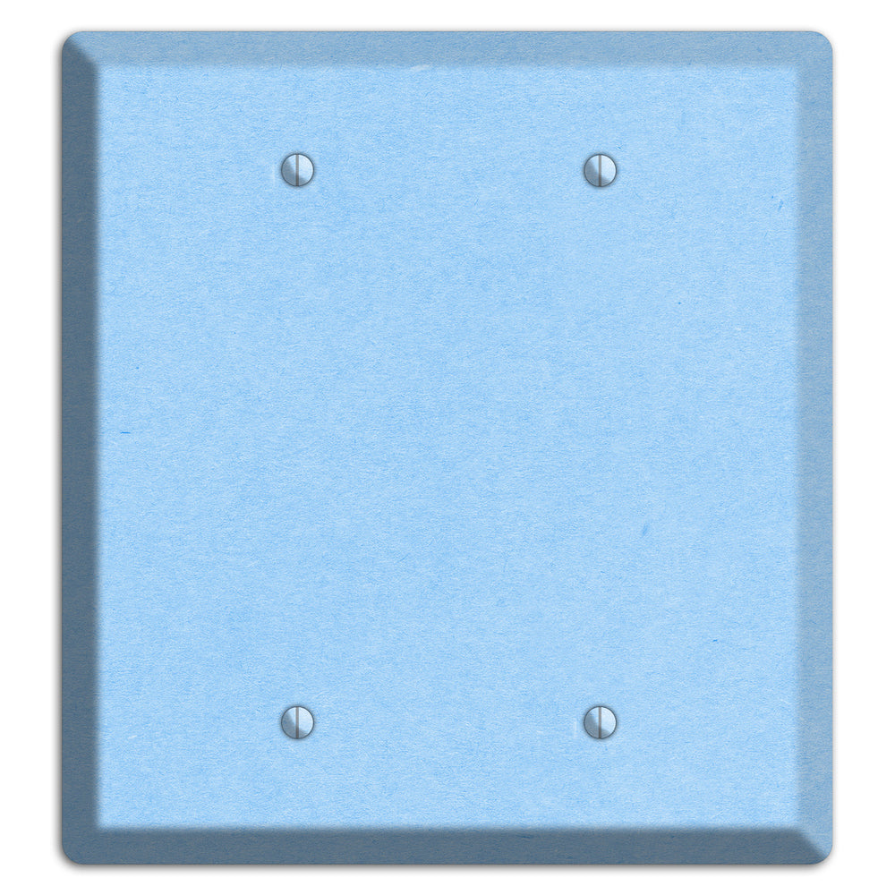 Light Sky Blue Kraft 2 Blank Wallplate
