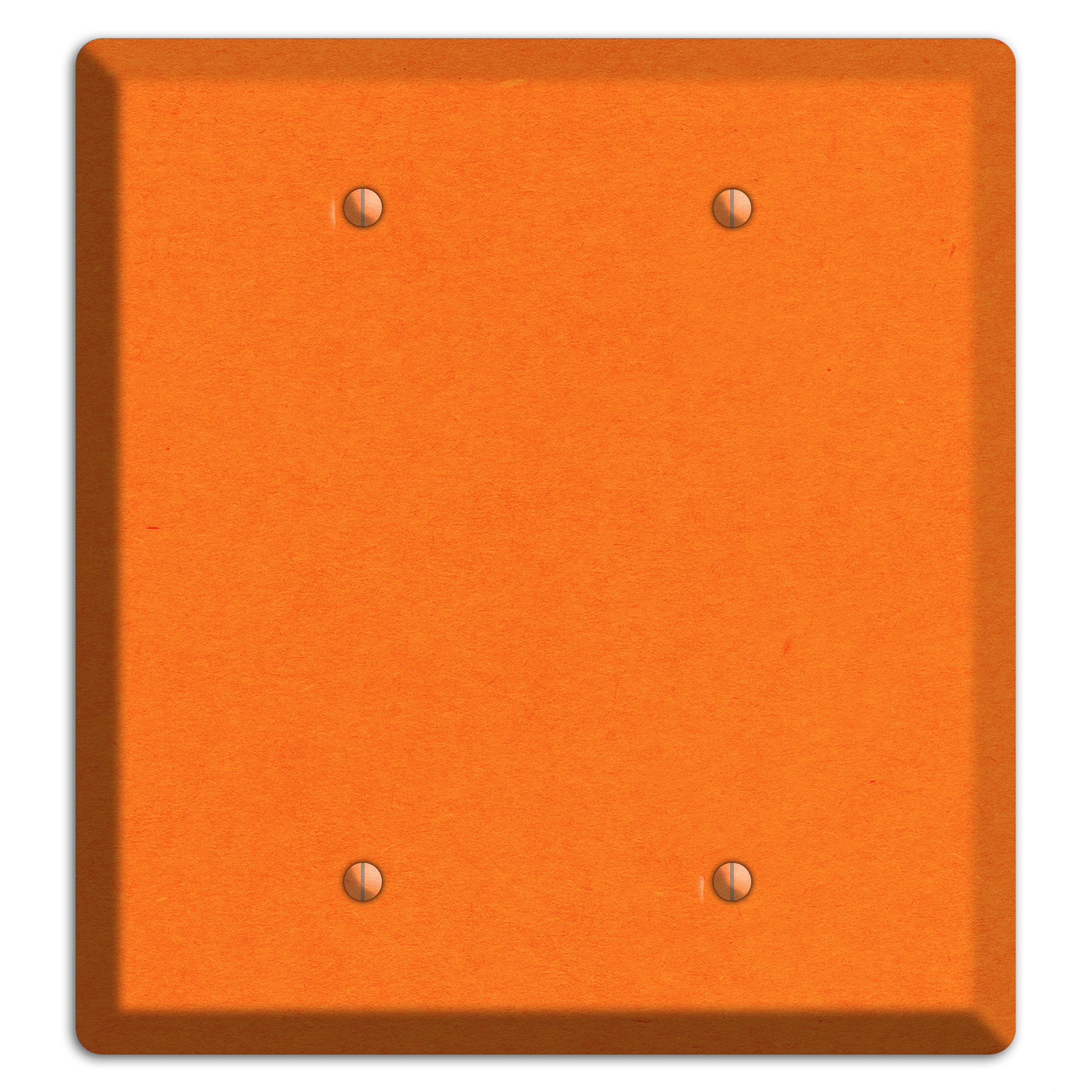 Pumpkin Kraft 2 Blank Wallplate
