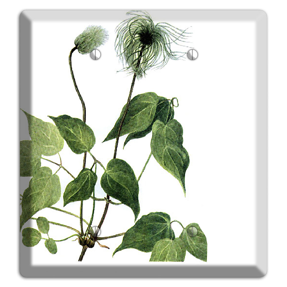 Clamatis Columbiana 2 Blank Wallplate