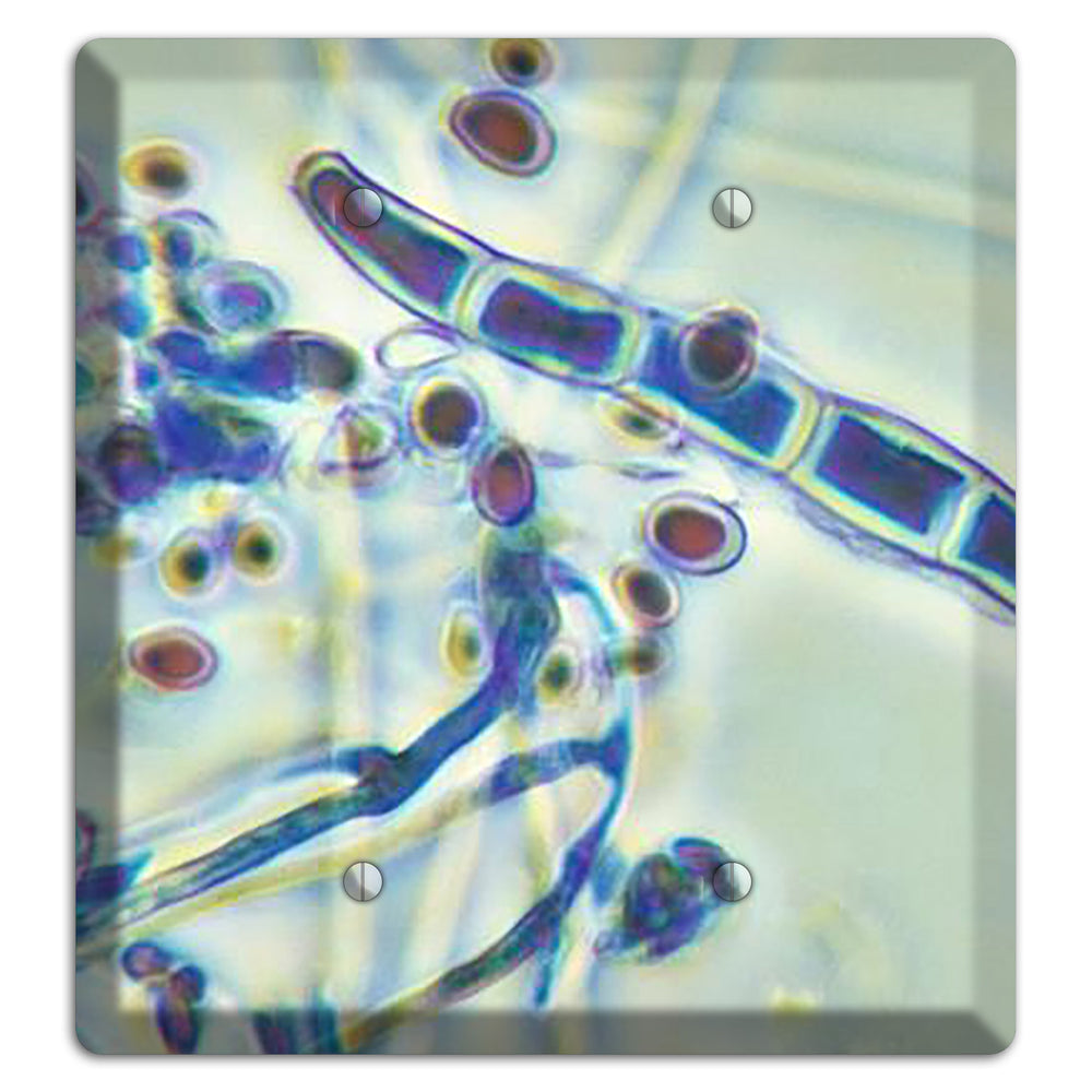 Trichophyton Rubrum Var Rodhaini 2 Blank Wallplate