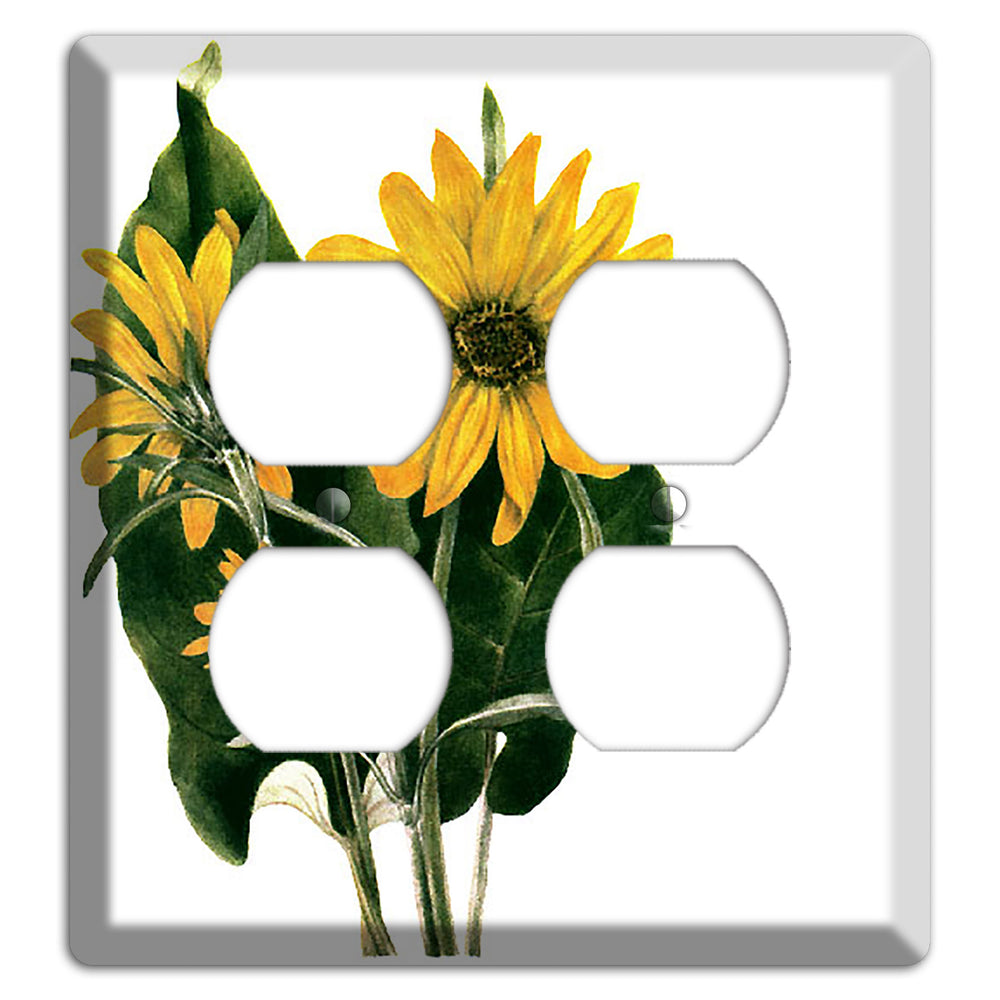 Balsamorhiza Sagittata 2 Duplex Wallplate