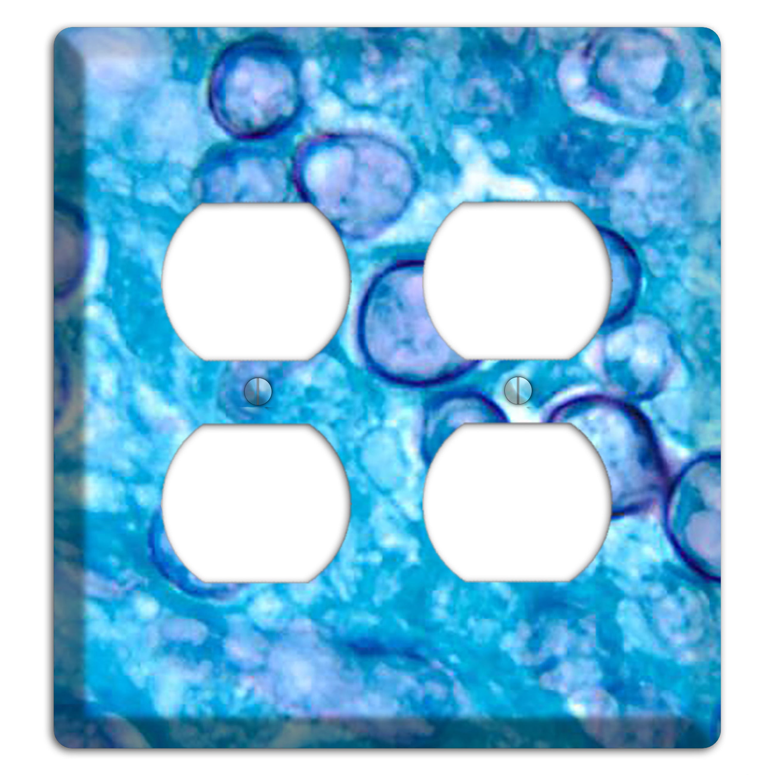 Histoplasma Capsulatum Duboisii 2 Duplex Wallplate