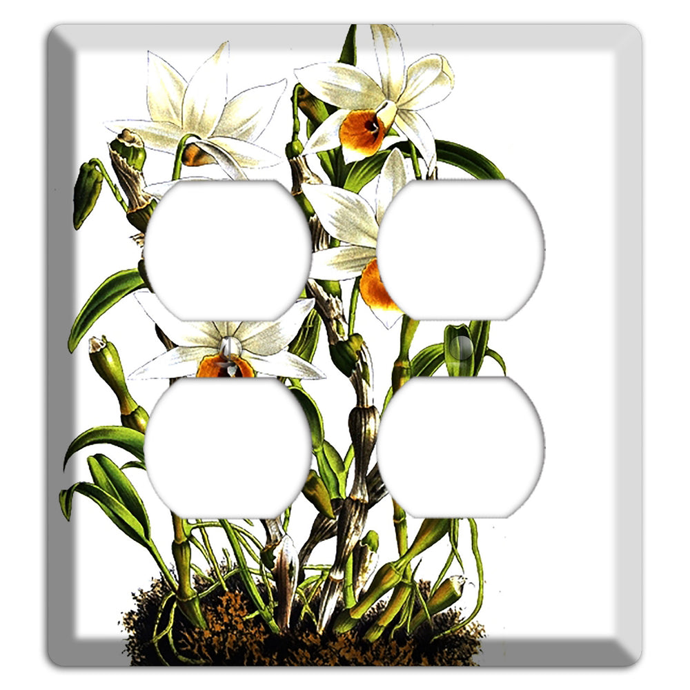 Dendrobium 2 Duplex Wallplate