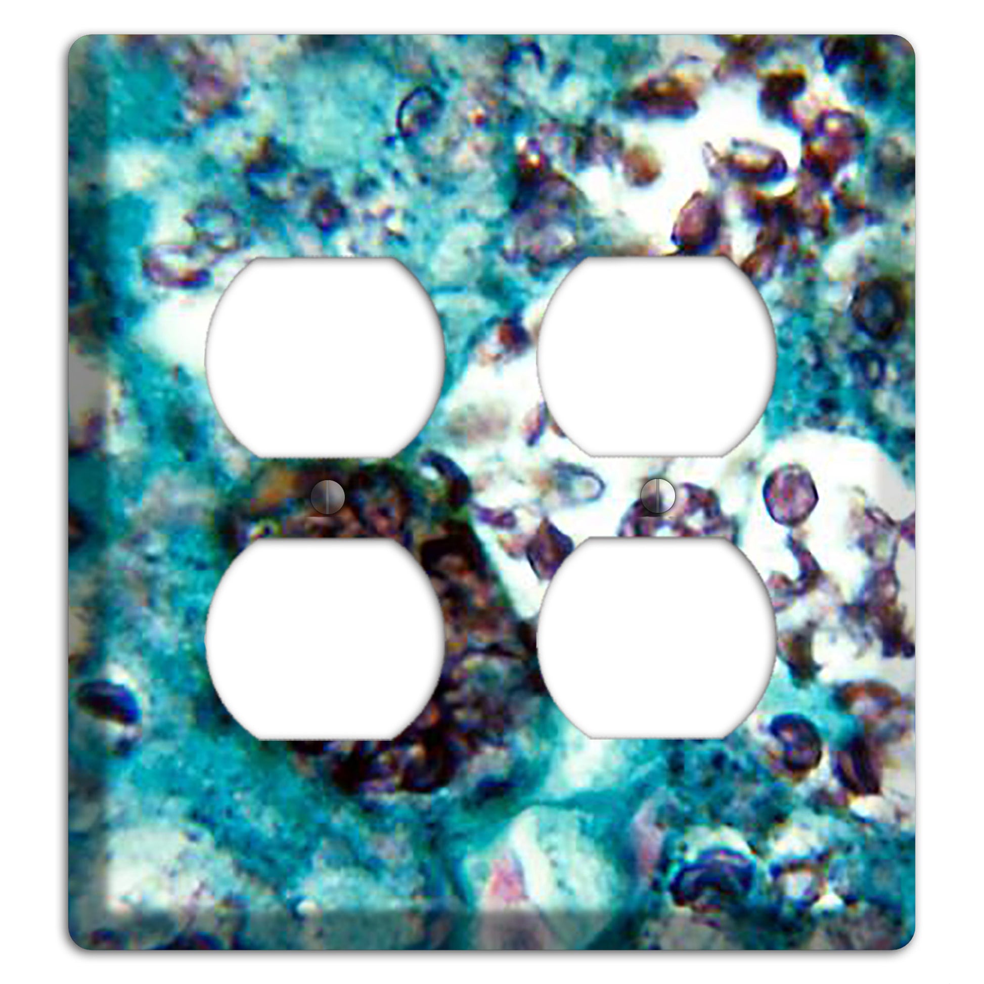 Histoplasmosis Capsulatum 2 Duplex Wallplate