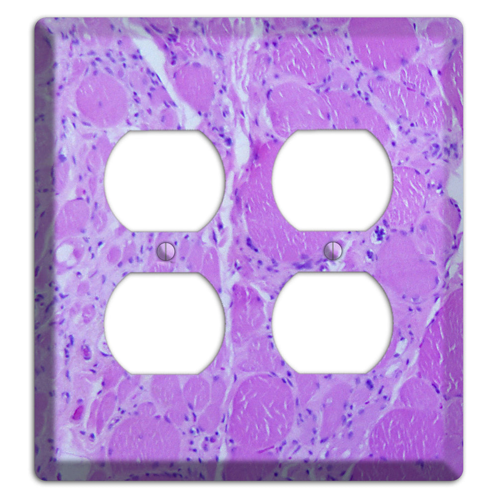 Poliovirus Myotonic Dystrophic 2 Duplex Wallplate