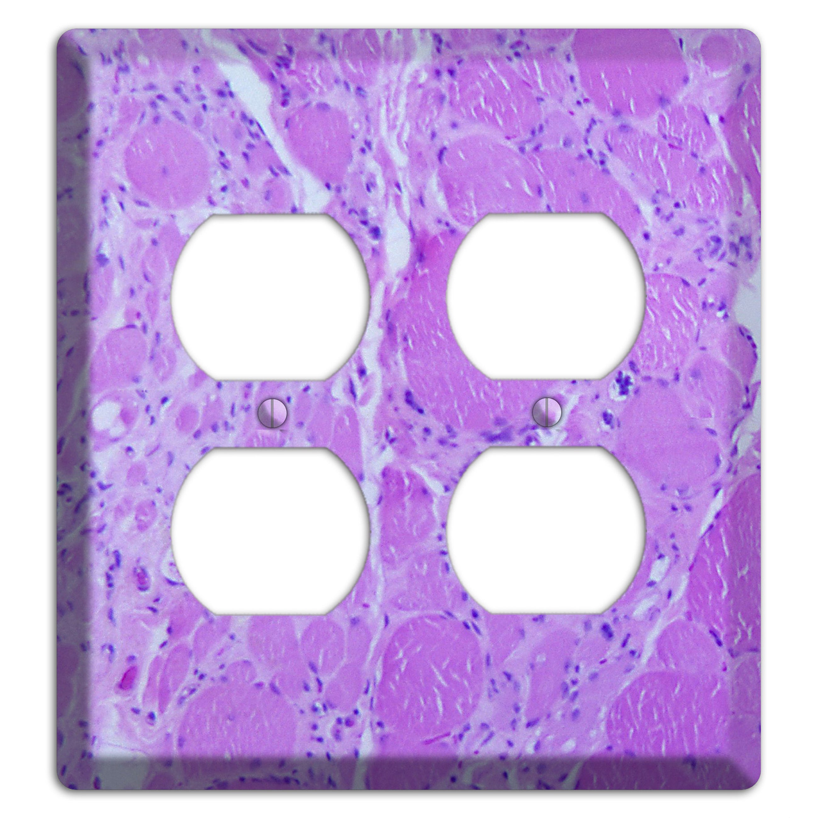 Poliovirus Myotonic Dystrophic 2 Duplex Wallplate
