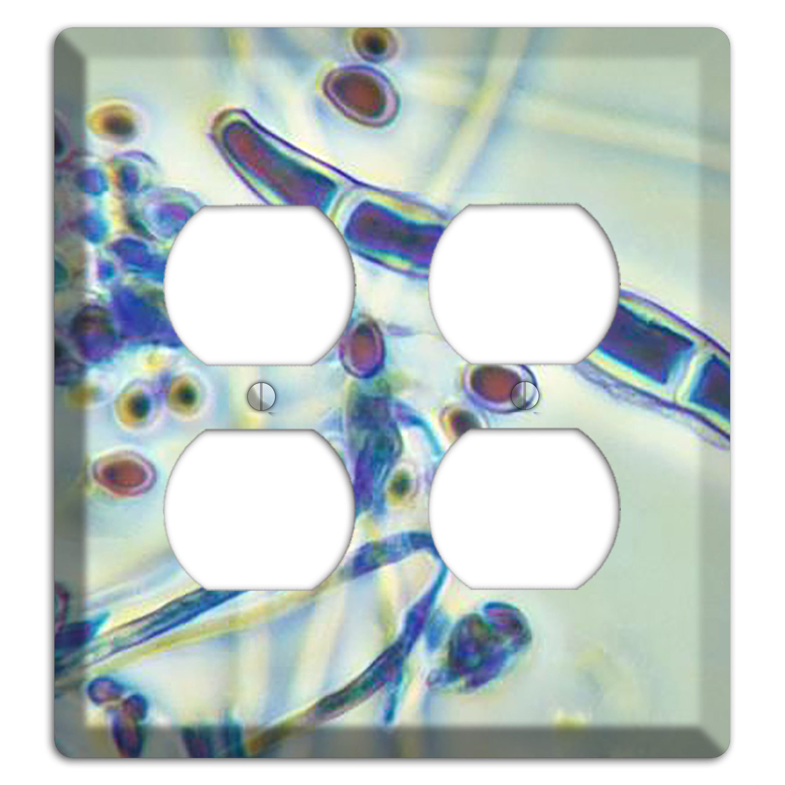 Trichophyton Rubrum Var Rodhaini 2 Duplex Wallplate