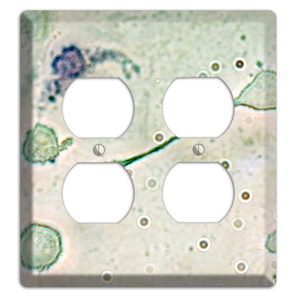 Macrophage 2 Duplex Wallplate