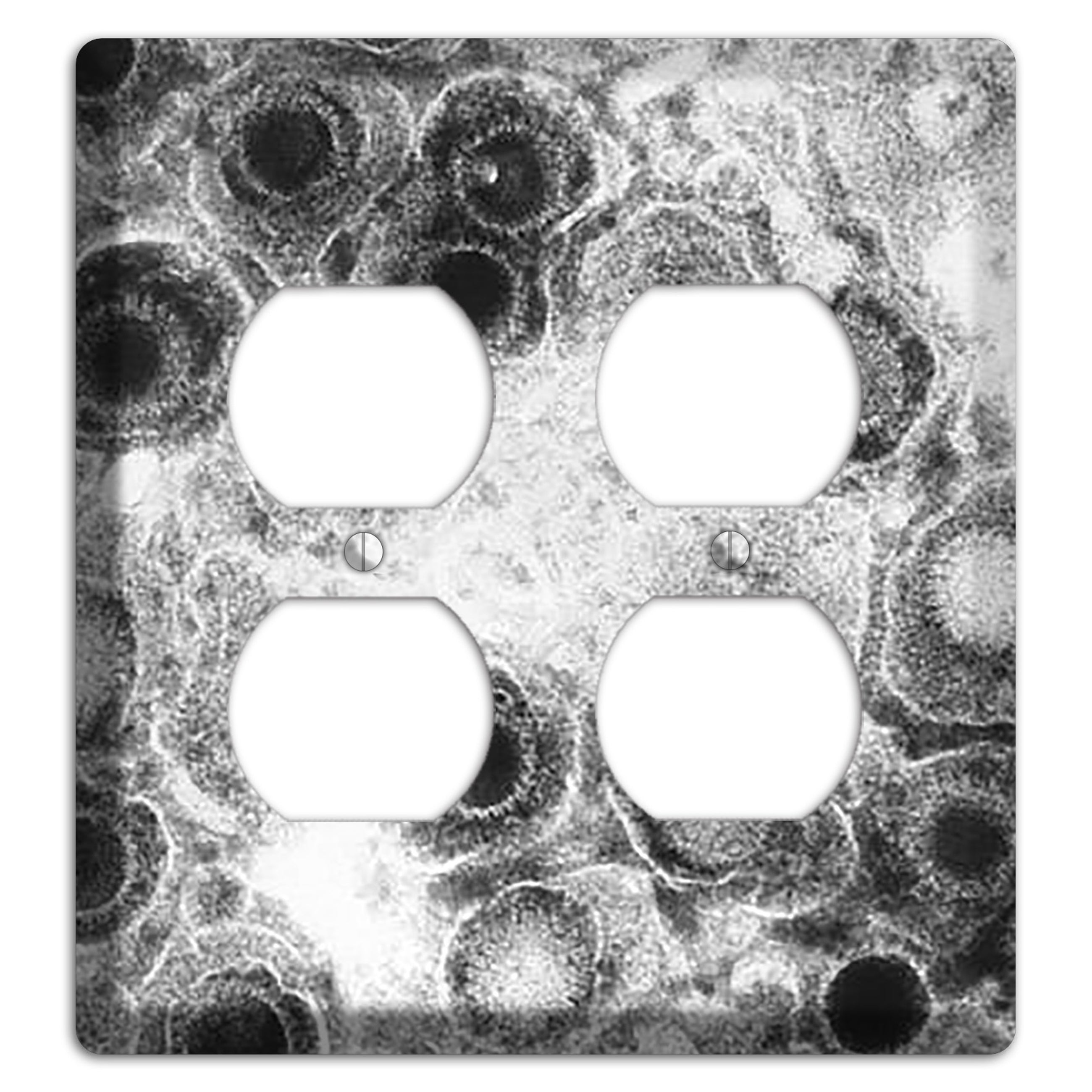 Herpes Simplex 2 Duplex Wallplate