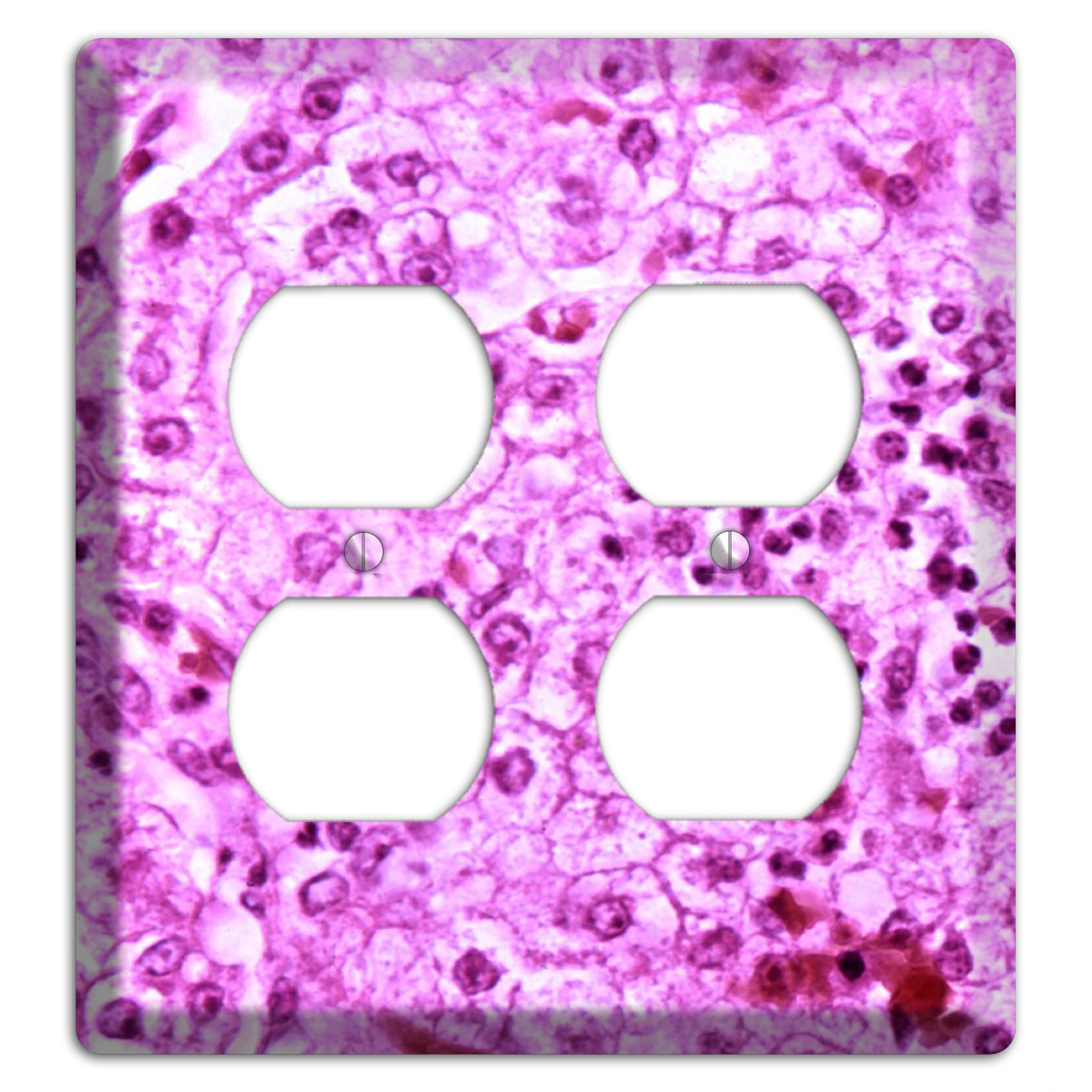 Lores 2 Duplex Wallplate