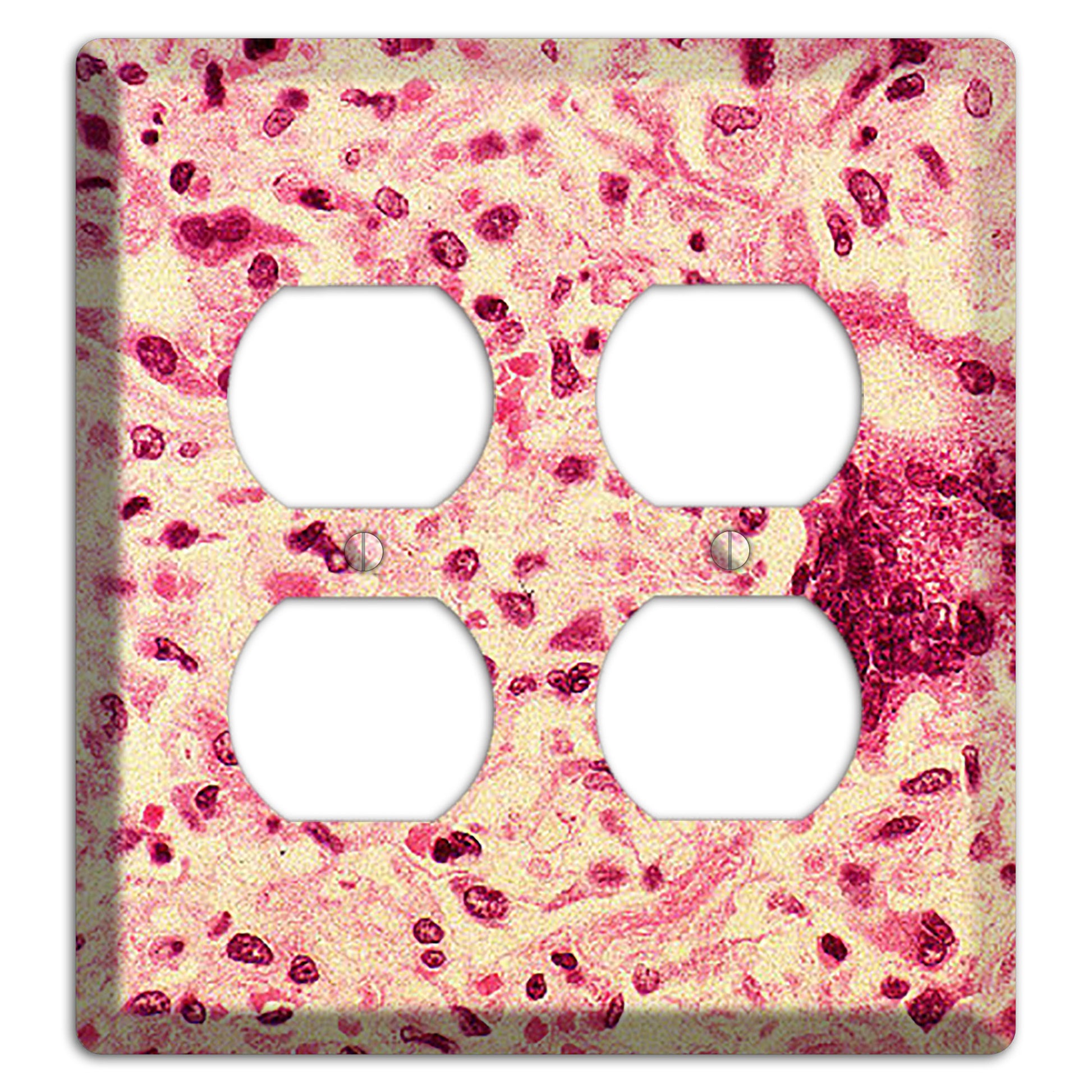 Morbillo 2 Duplex Wallplate