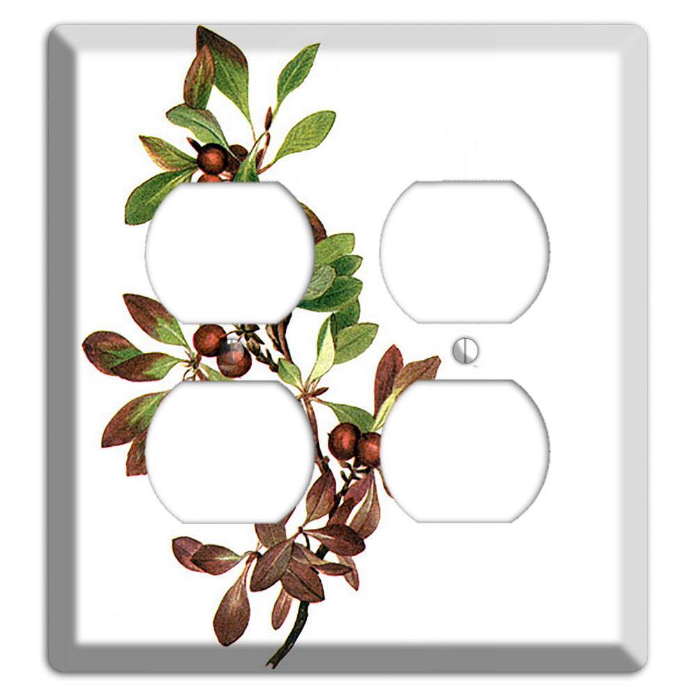 Arietustaphylos Alpha 2 Duplex Wallplate