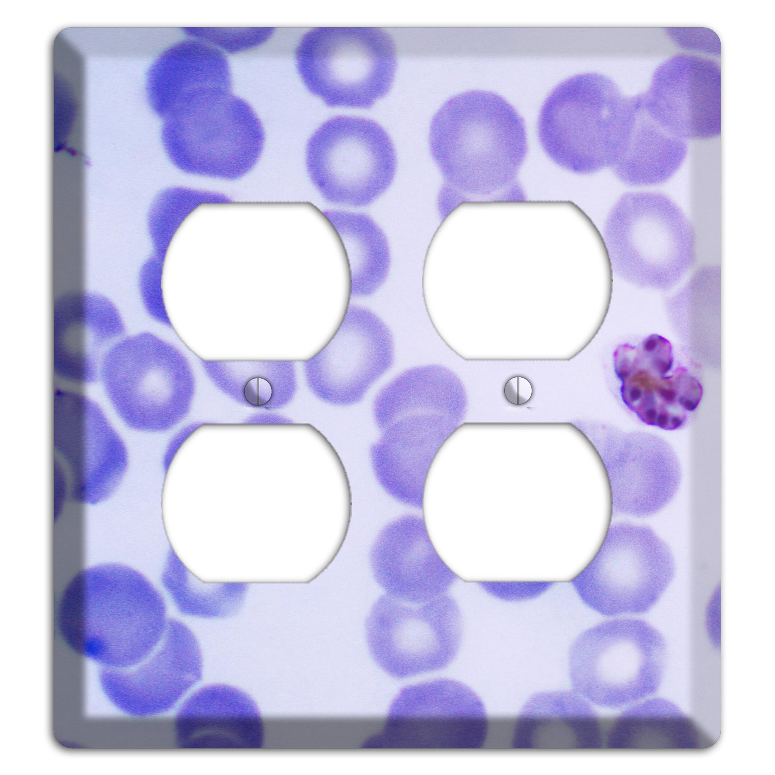 Plasmodium Malariae Schizont 2 Duplex Wallplate