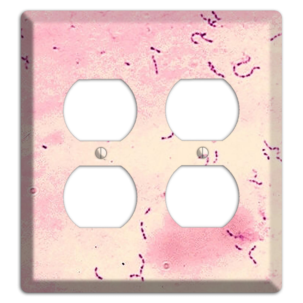 Streptococcus Mutans 2 Duplex Wallplate