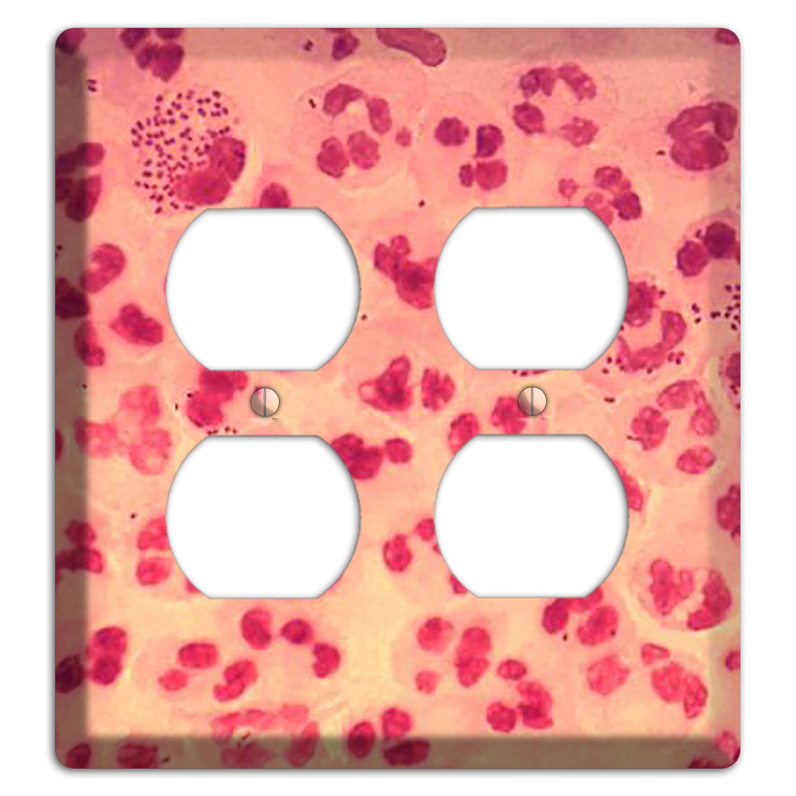 Gonococcal Urethritis 2 Duplex Wallplate