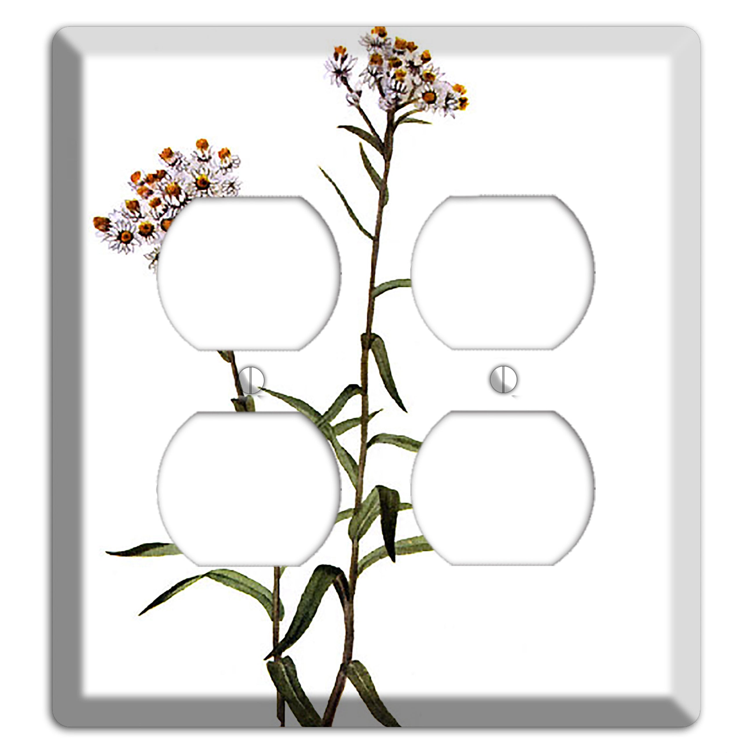 Anaphalis Margoritacea 2 Duplex Wallplate