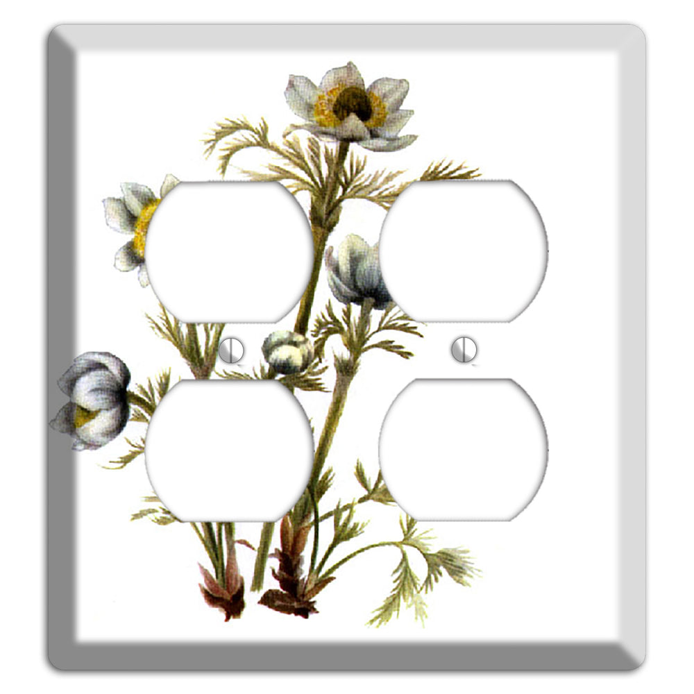Aenmone Occitentalis 2 Duplex Wallplate