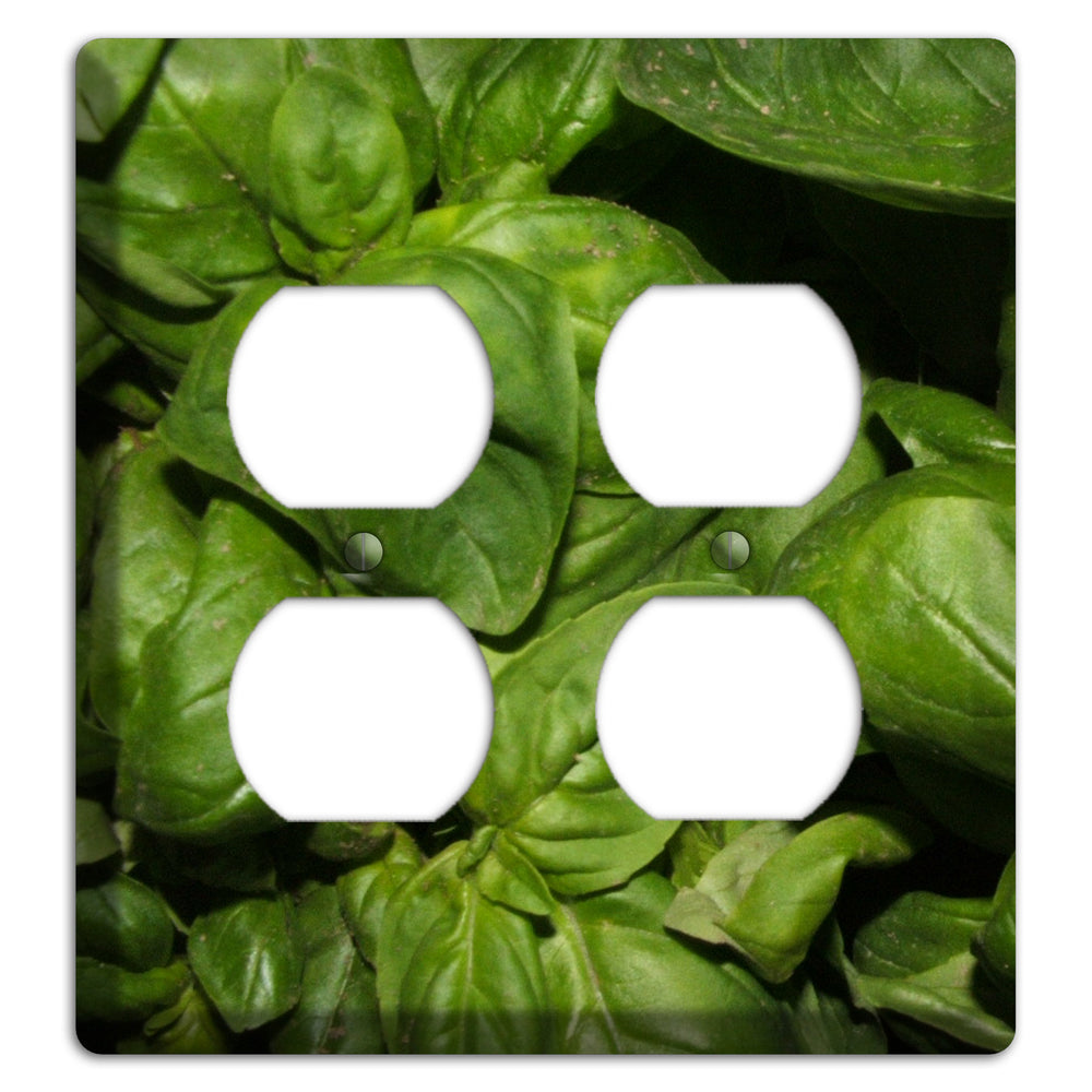 Basil 2 Duplex Wallplate