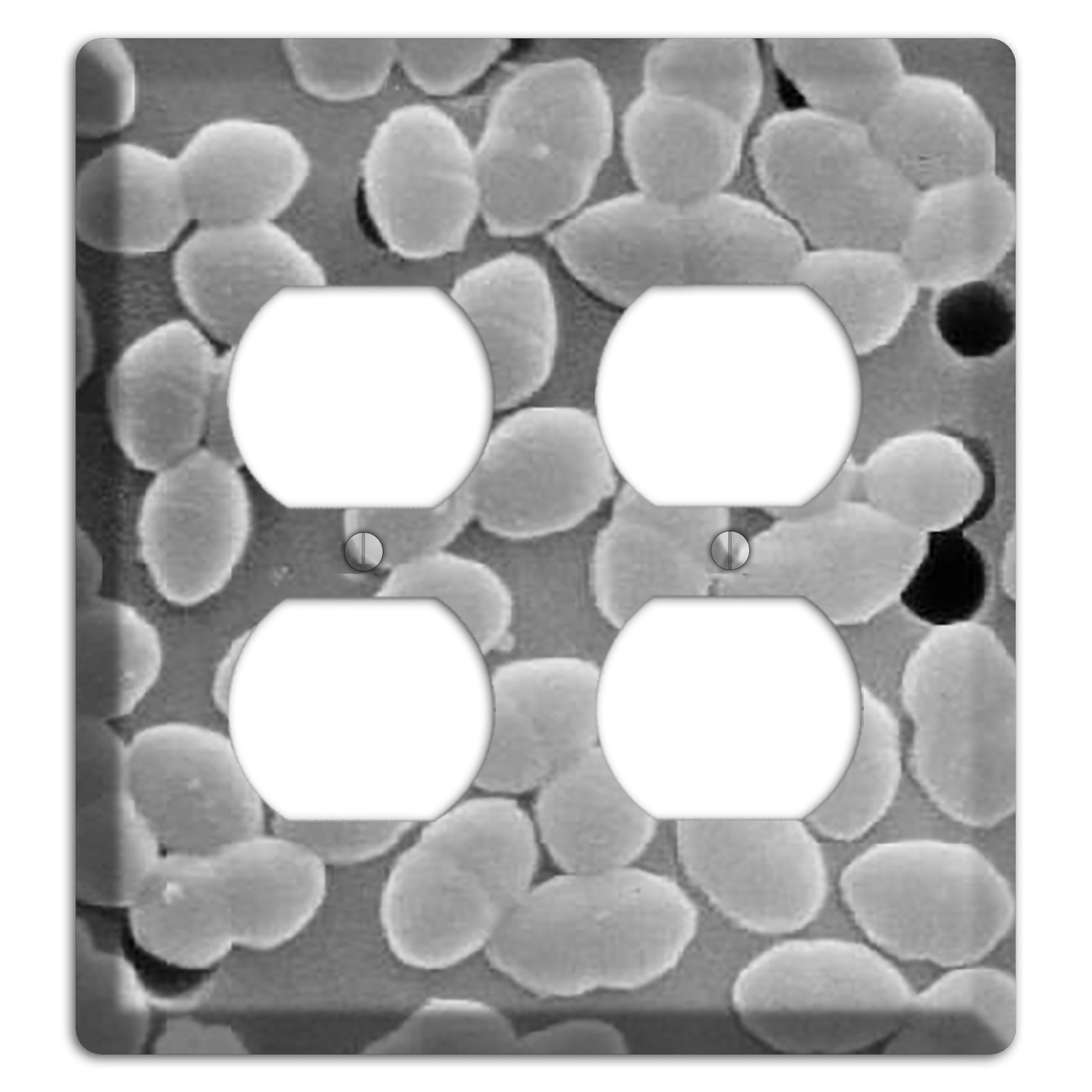 Entercoccus 2 Duplex Wallplate