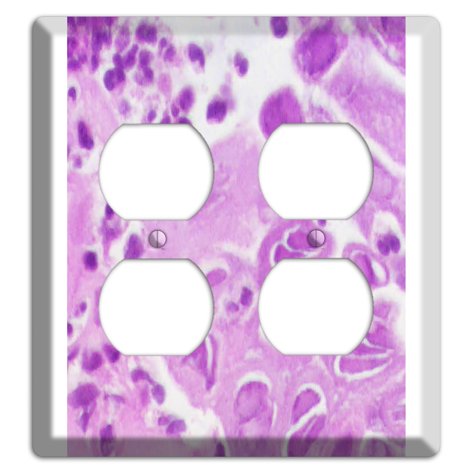 Esophagus Herpes 2 Duplex Wallplate
