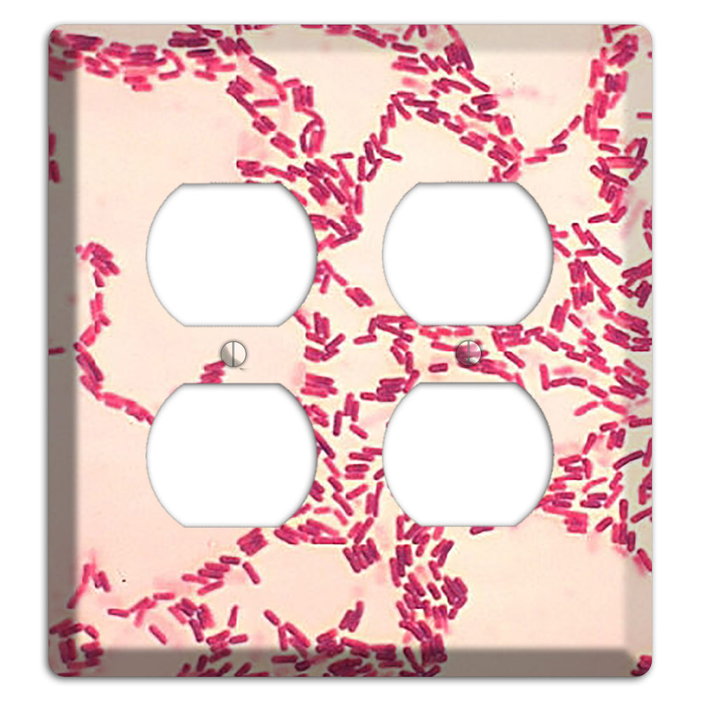 Bacillus Coagulans 2 Duplex Wallplate