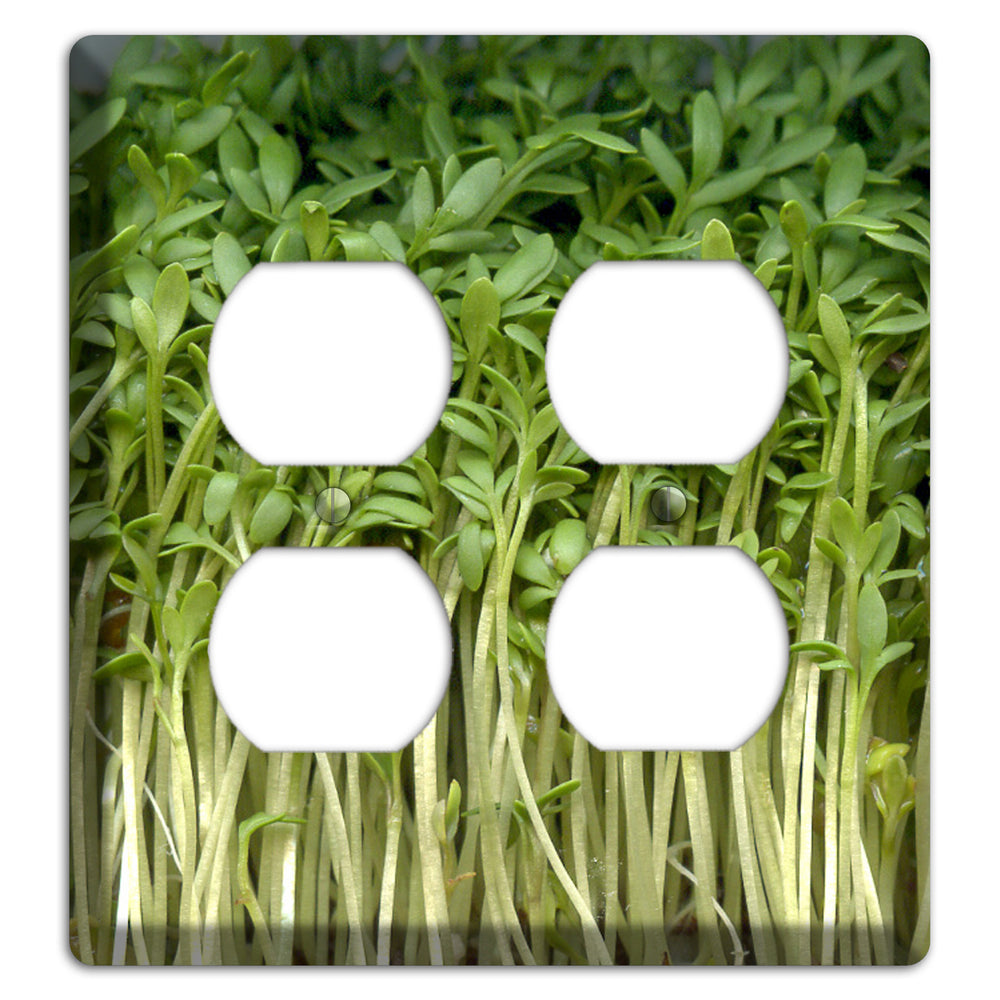 Sprouts 2 Duplex Wallplate