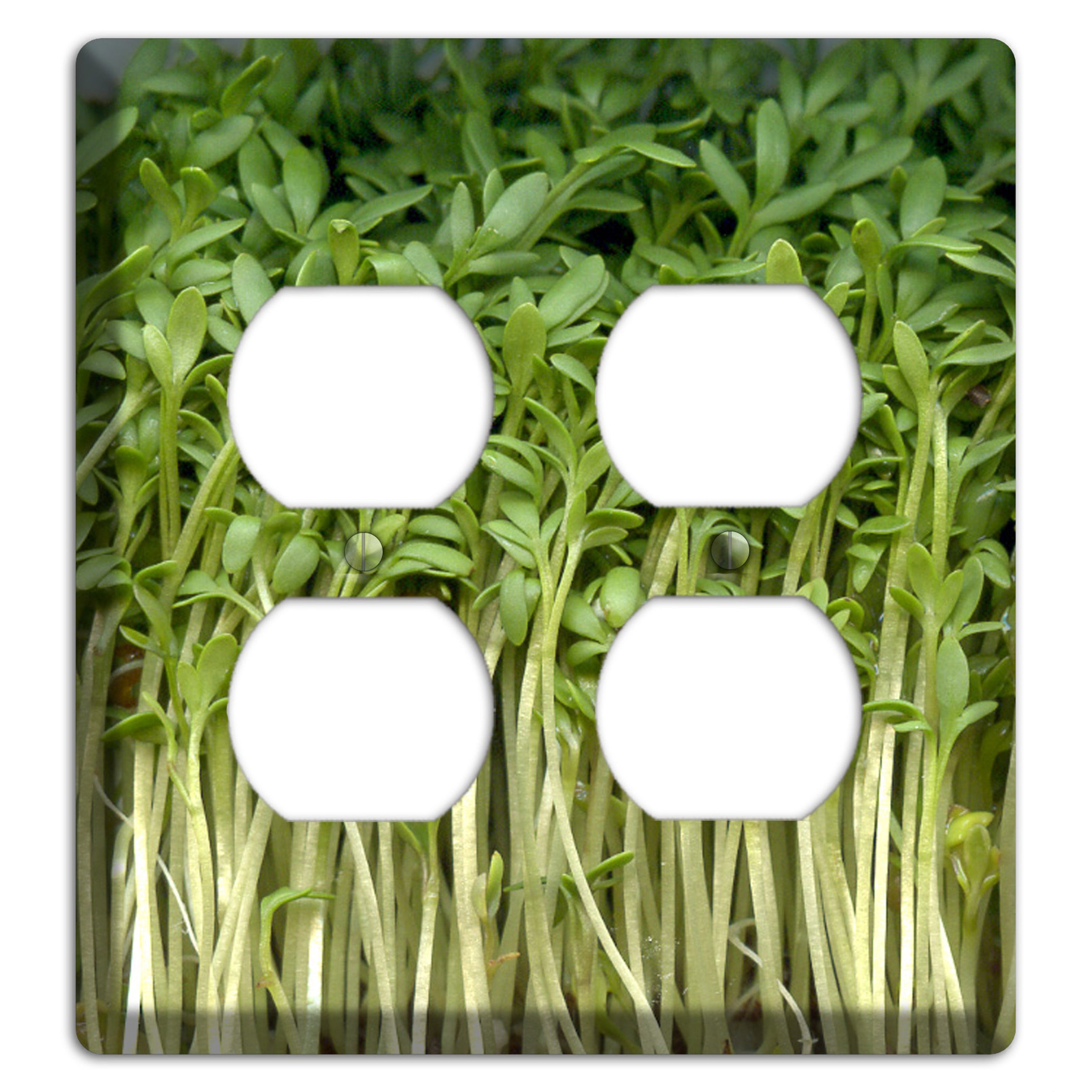 Sprouts 2 Duplex Wallplate