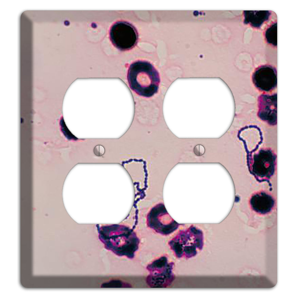 Streptococcus Viridans 2 Duplex Wallplate