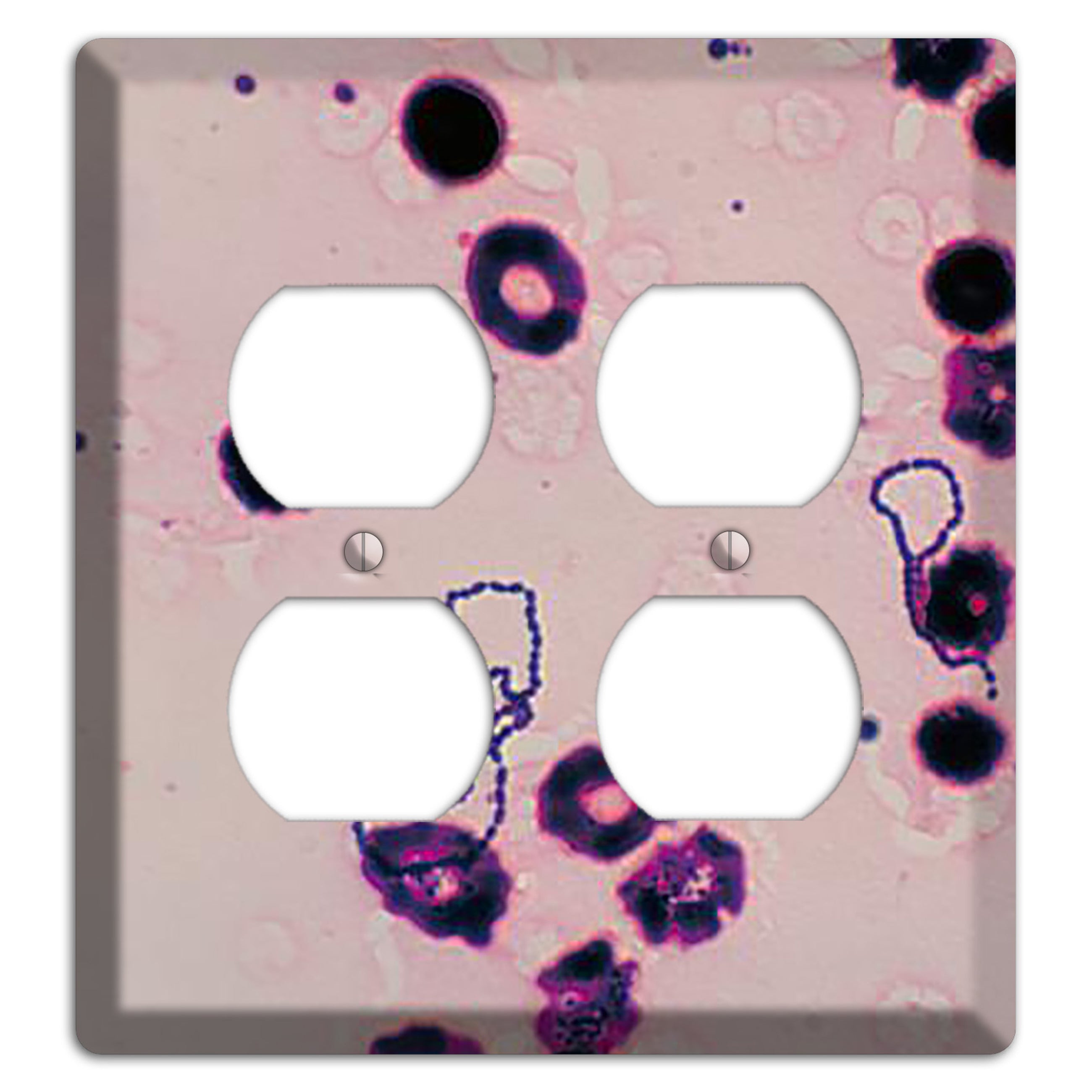 Streptococcus Viridans 2 Duplex Wallplate